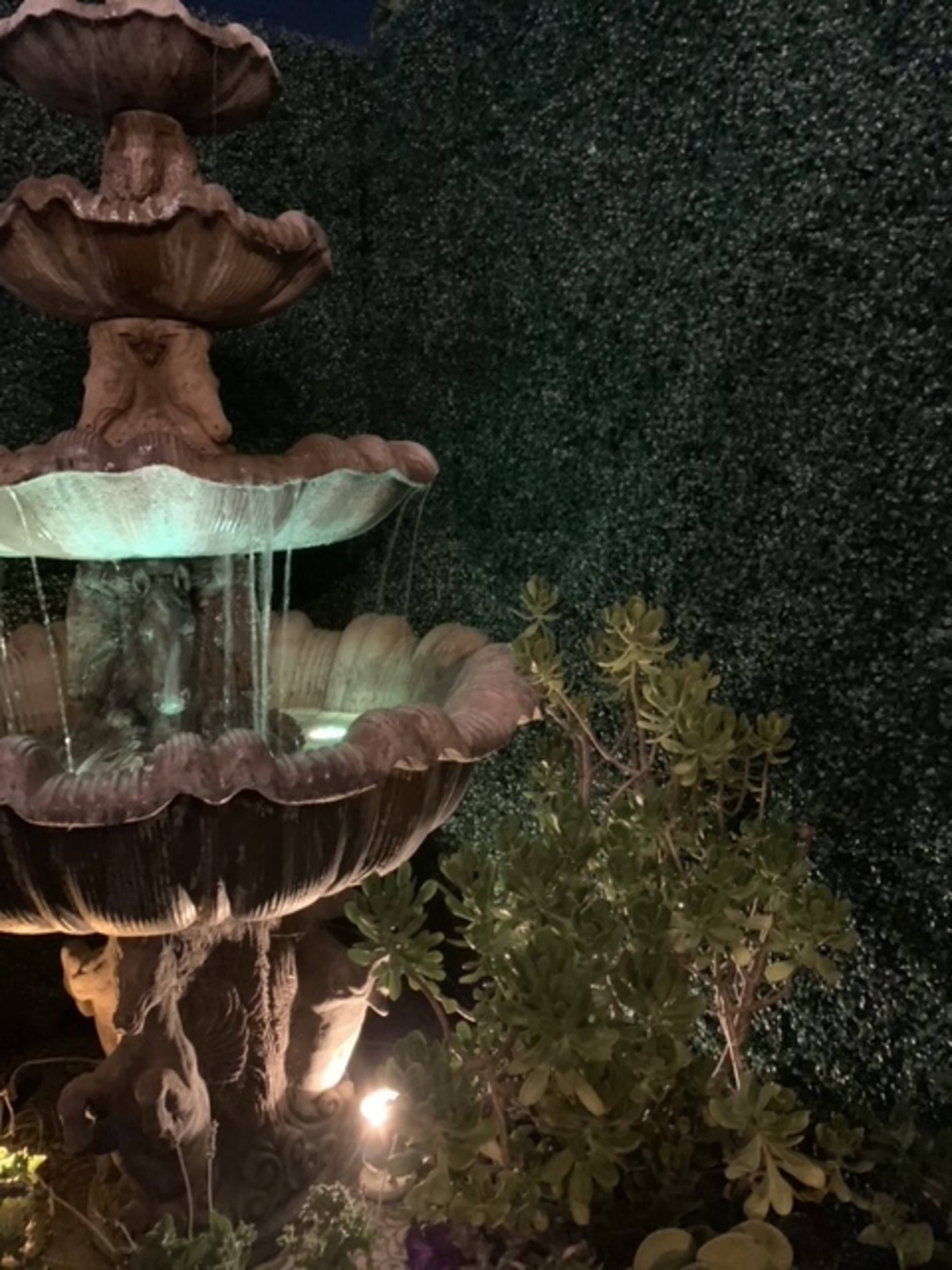 A multi-tiered stone fountain with water flowing down its levels stands next to a green hedge and potted succulent plants.