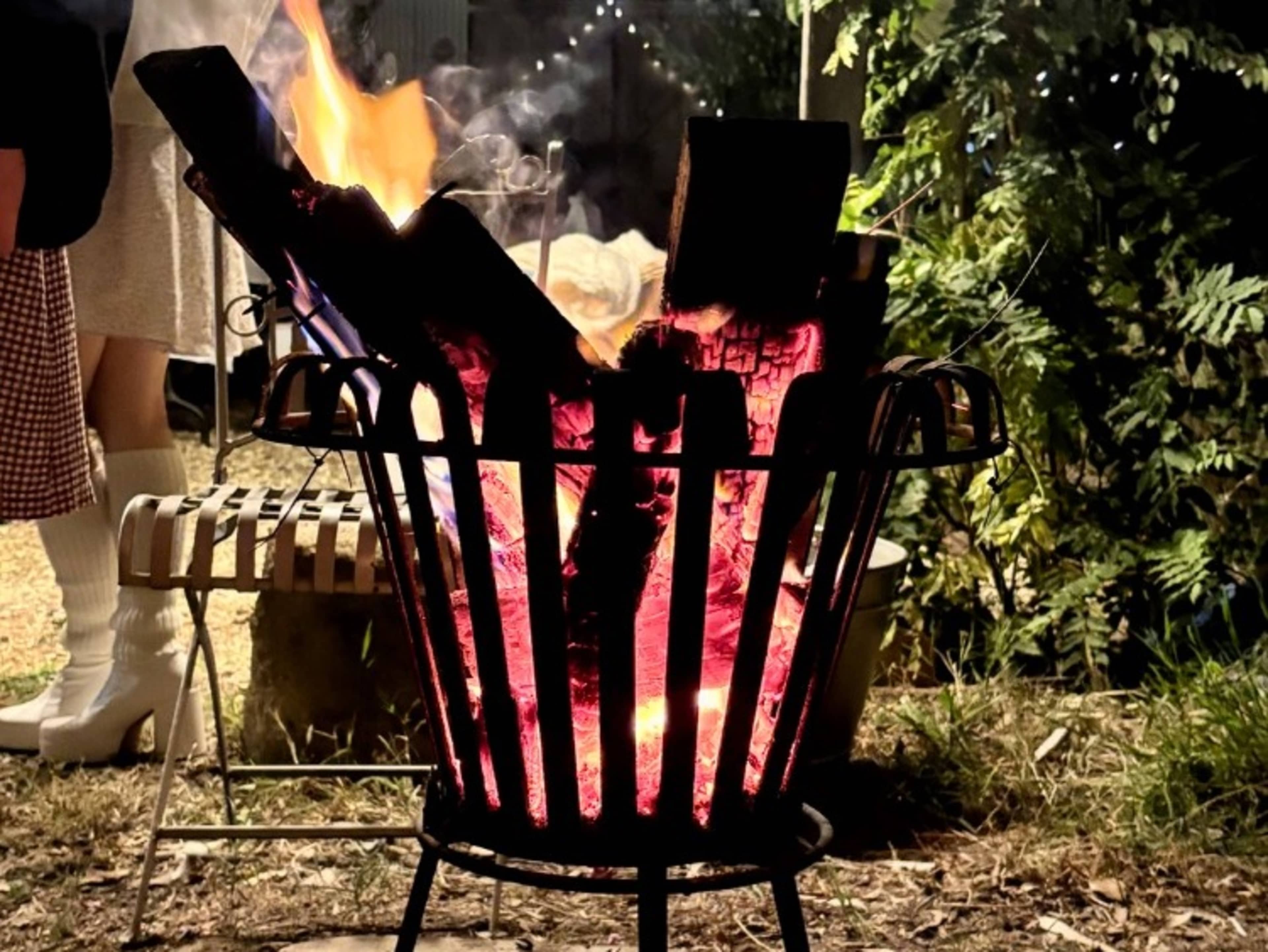 Fire pit and firewood 