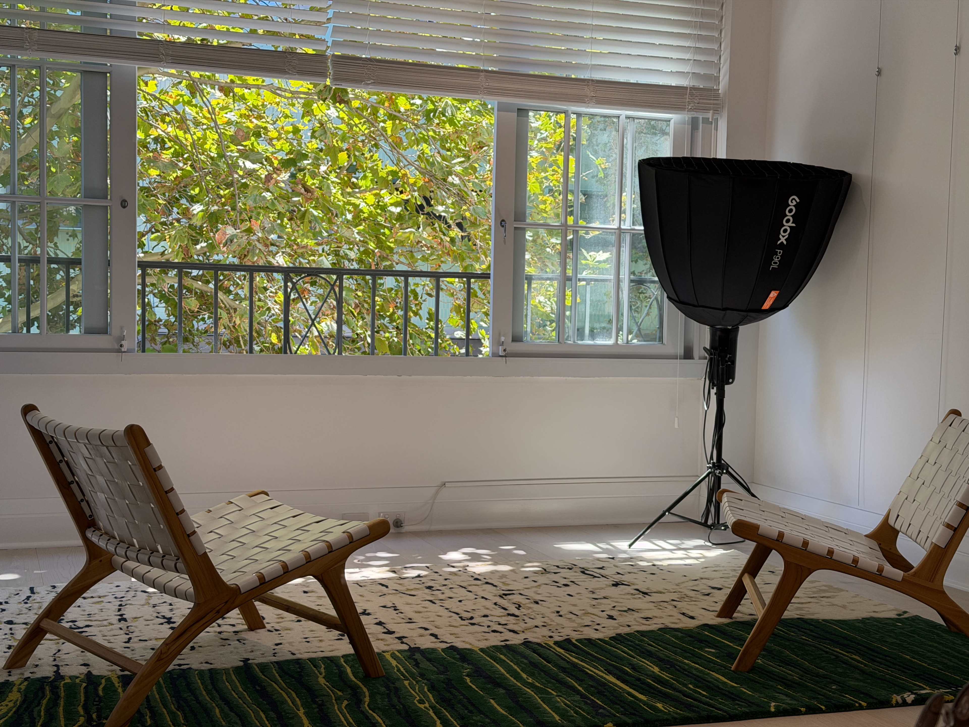 The image shows two wooden chairs with woven seats positioned on a green and white area rug, near a large window with trees visible outside.