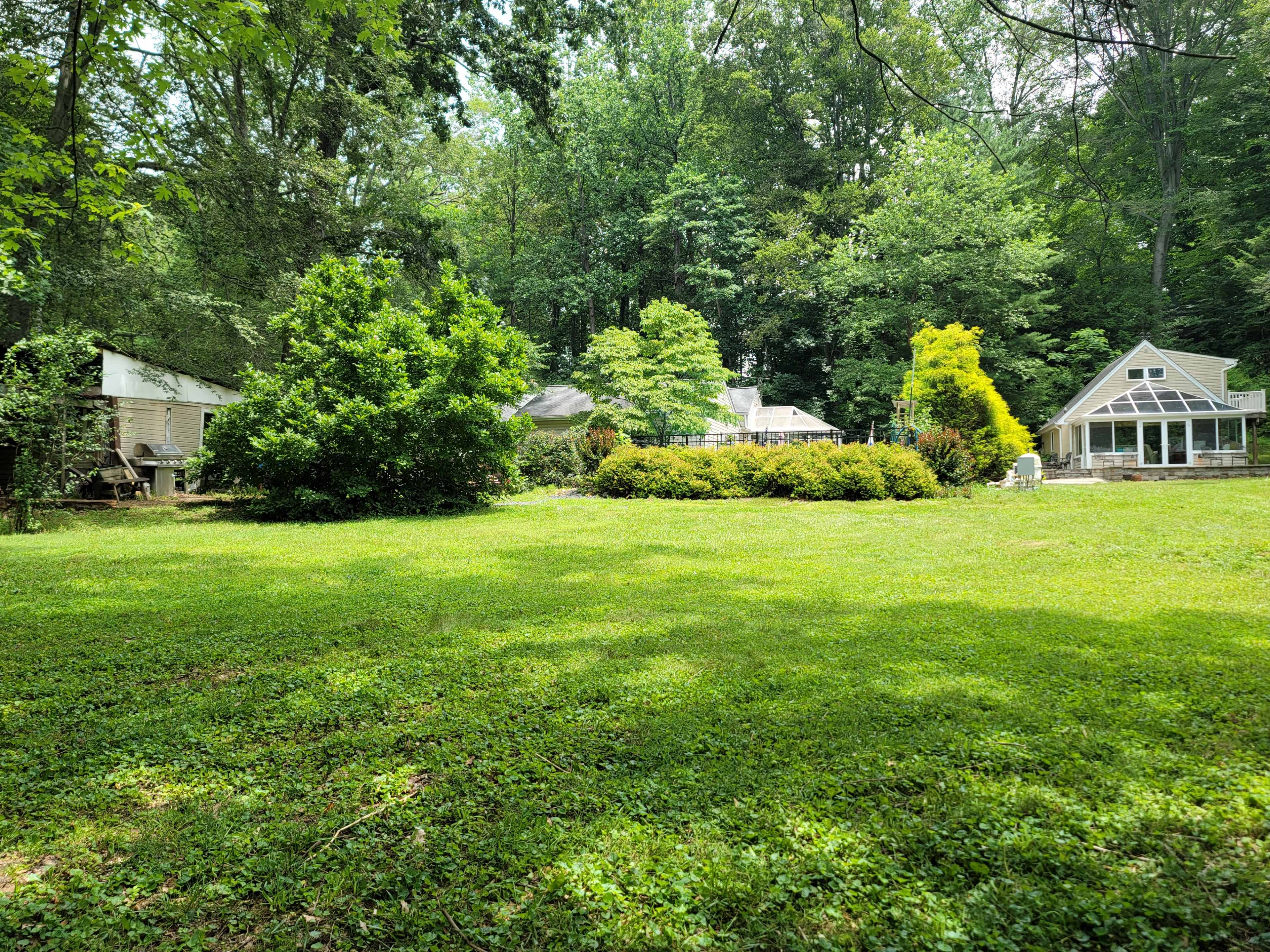 Perfect Outdoor Photography backdrop - Creekside grassy knoll under the shade of trees Image in Kingsville, Kingsville, MD