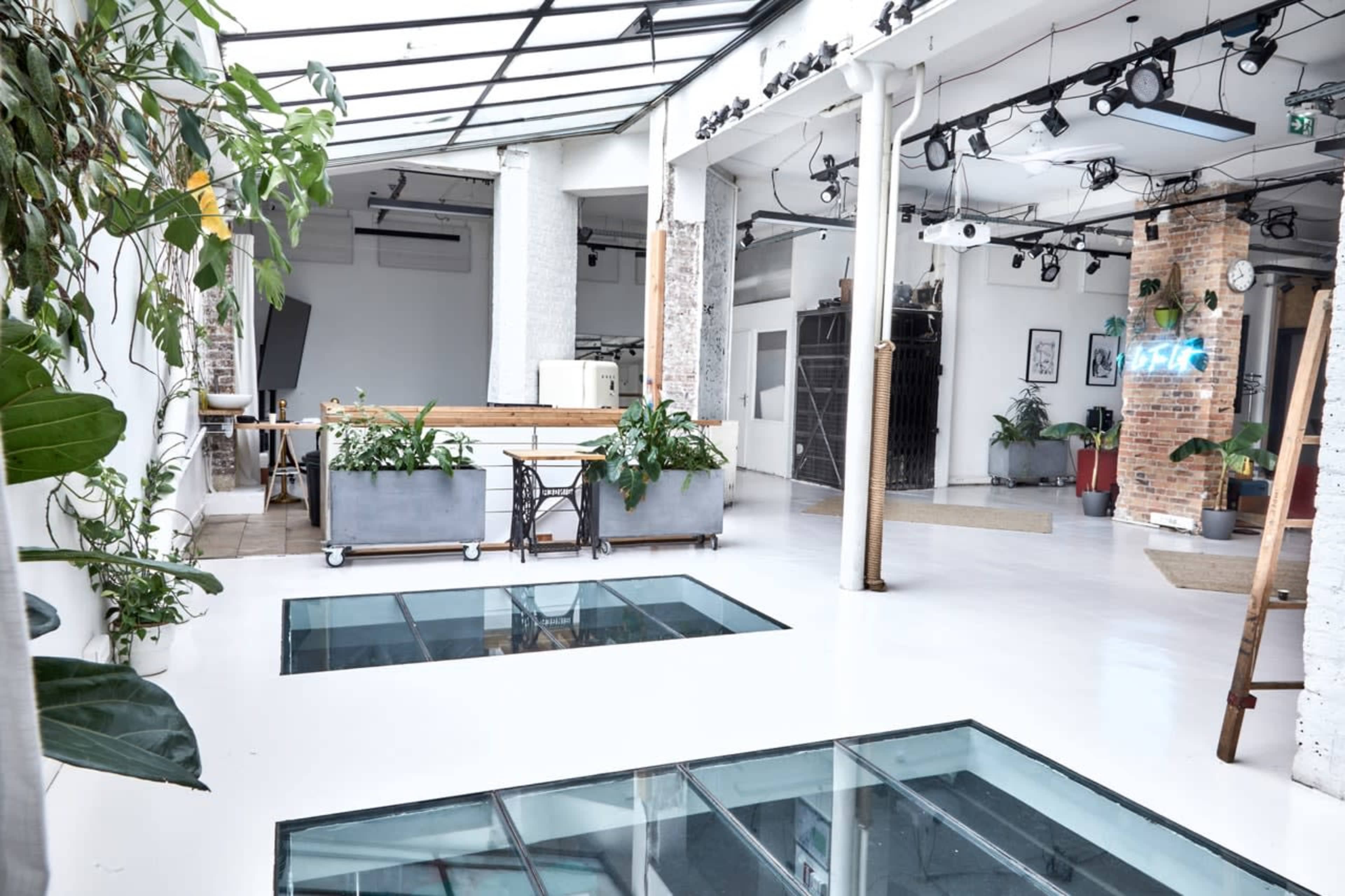 The image shows a spacious, modern interior of a creative workspace featuring large glass panels in the floor and various plants throughout.