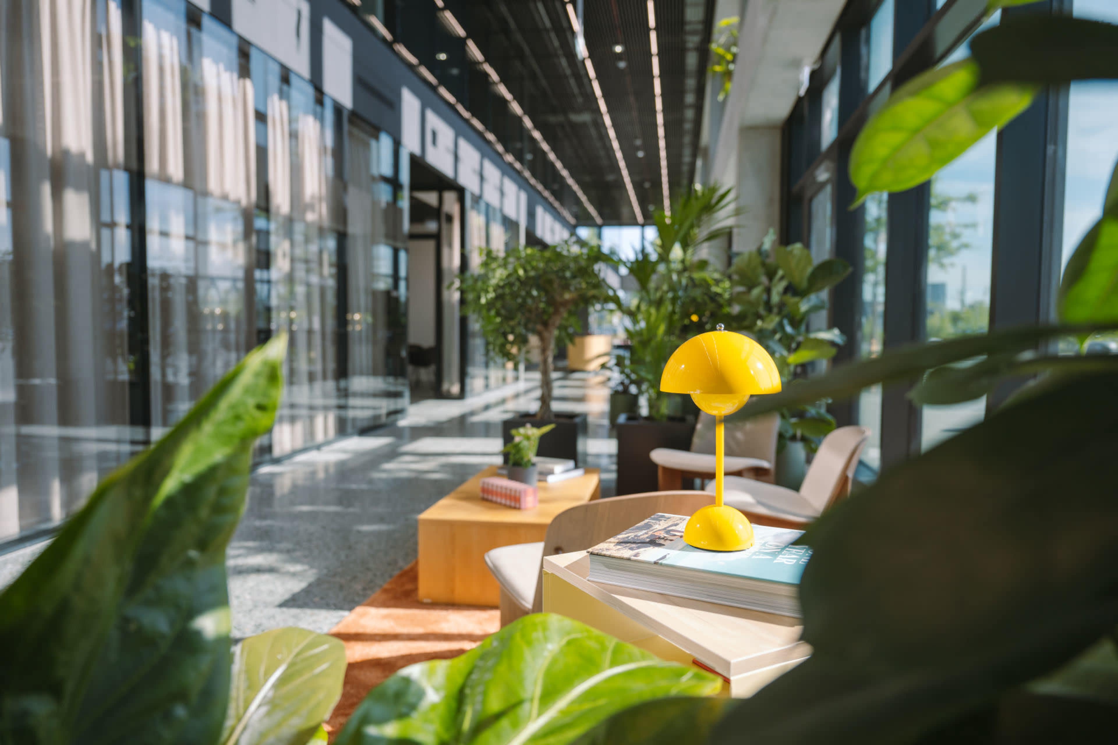 The image shows a bright, modern interior space with large windows, potted plants, and a yellow lamp on a wooden table.