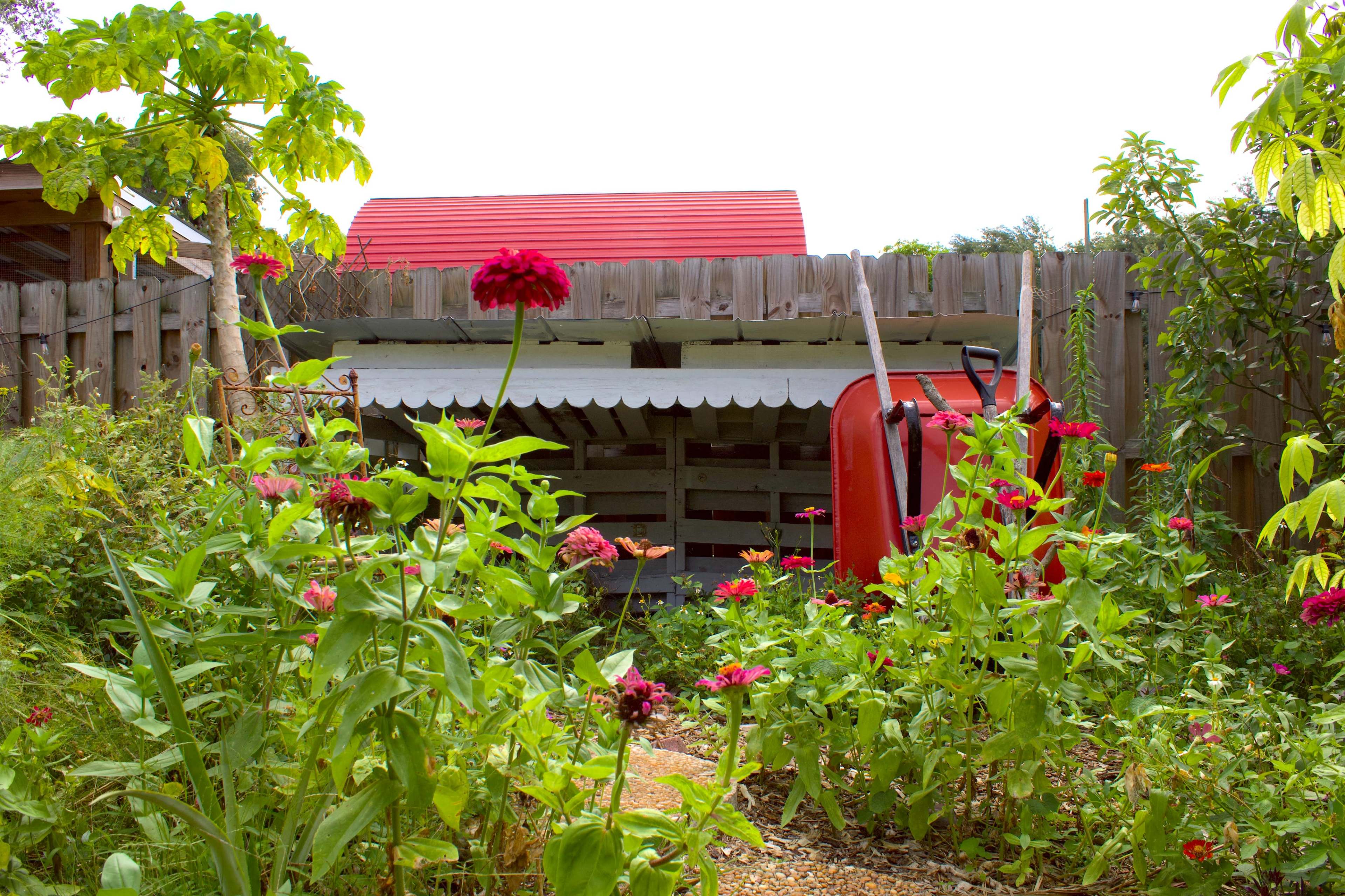 A garden scene features vibrant flowers surrounding a red wheelbarrow and a wooden shed with a red roof in the background.