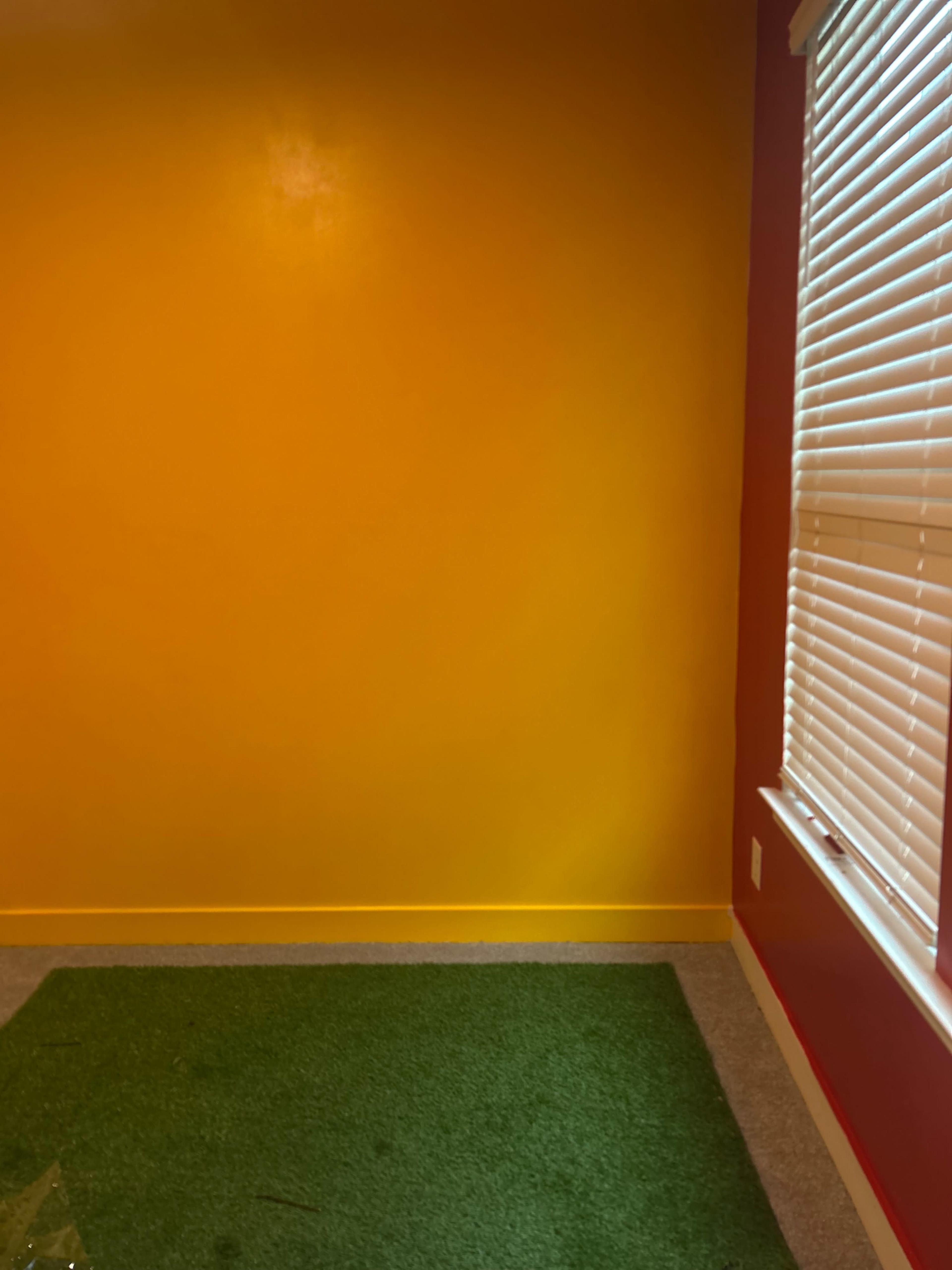 Southside Photography Studio Image in Montclaire South, Charlotte, NC