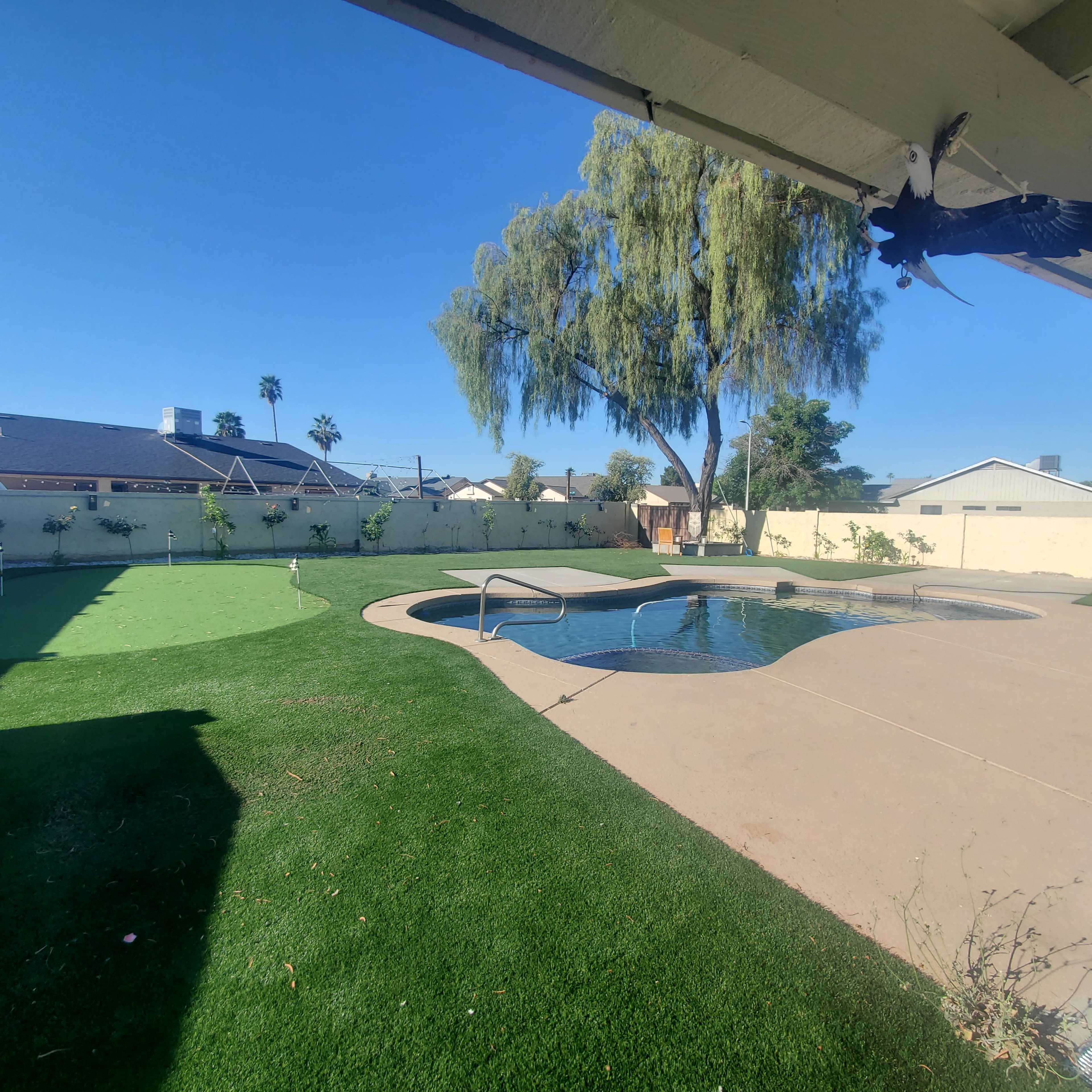 The image shows a backyard with a swimming pool, a well-maintained lawn, and several palm trees under a clear blue sky.