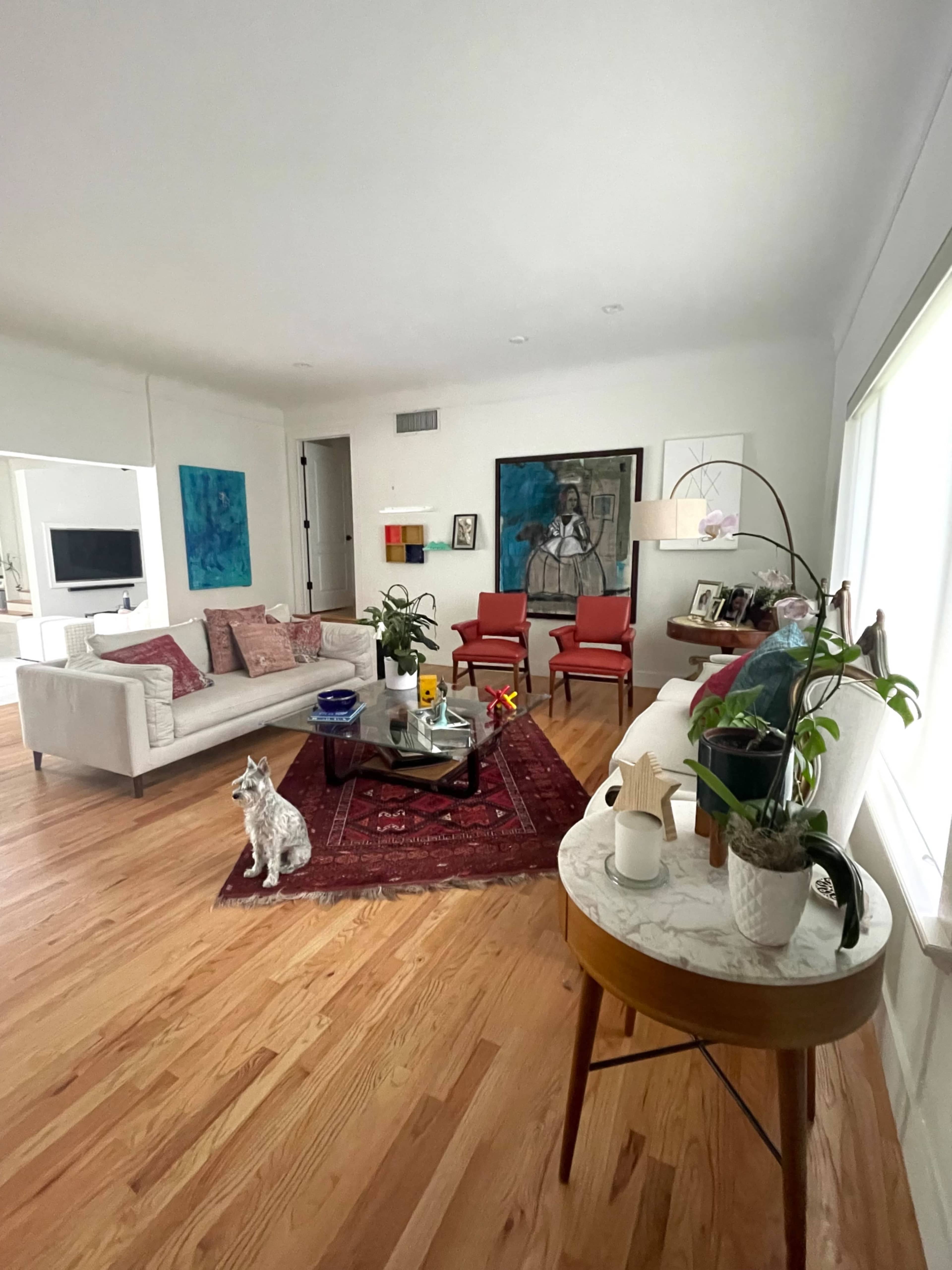The living room features a couch, red chairs, a coffee table on a patterned rug, and a dog standing near a small table with plants.