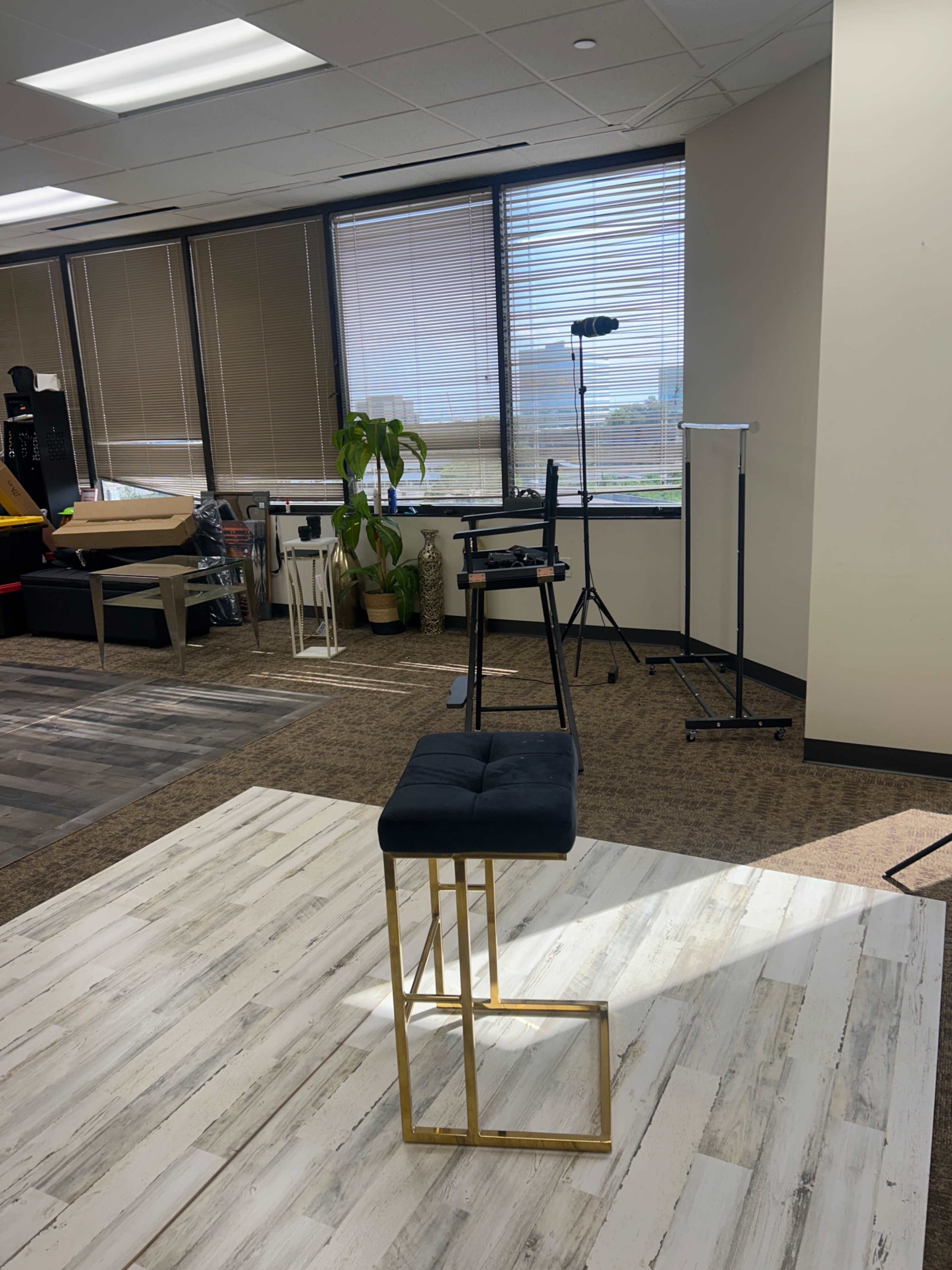 The image shows an office space with a black stool on a gold frame, a potted plant, and various items arranged in the background, including a tall stand and a chair.