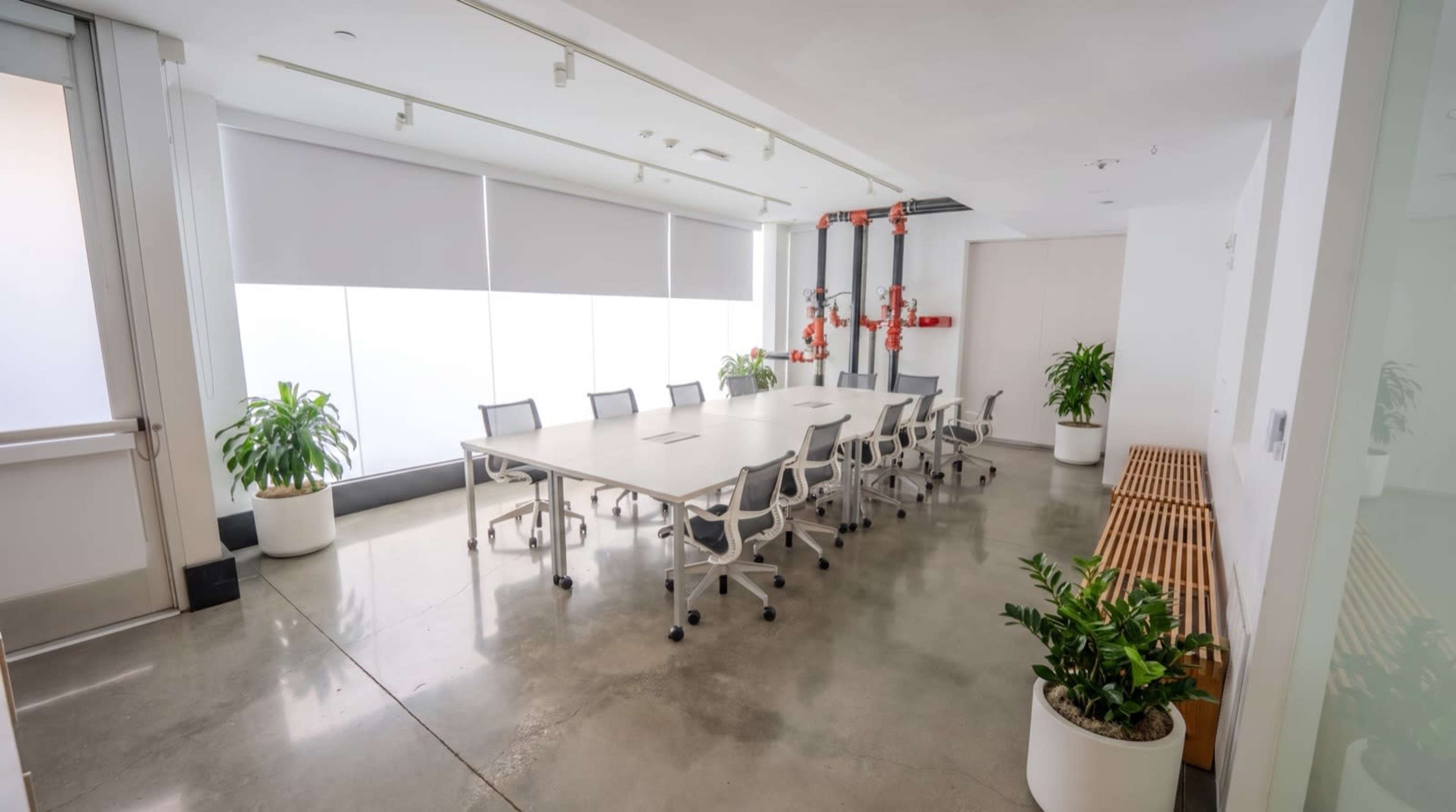 The image shows a modern conference room with a large table and chairs, plants in white pots, and large windows with curtains.