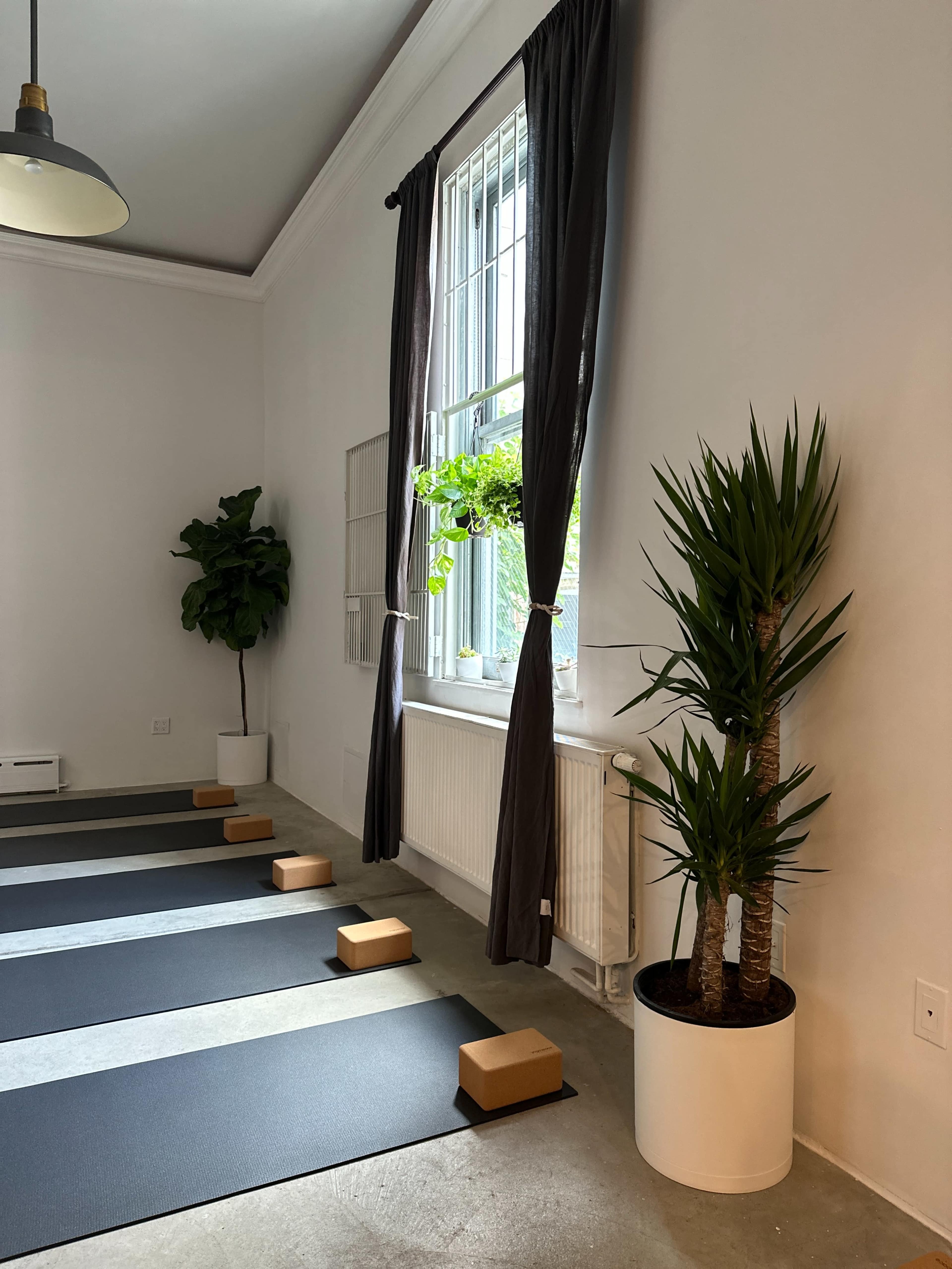 A yoga studio with several dark yoga mats arranged on a concrete floor, a window with green plants, and large potted plants in the corners.