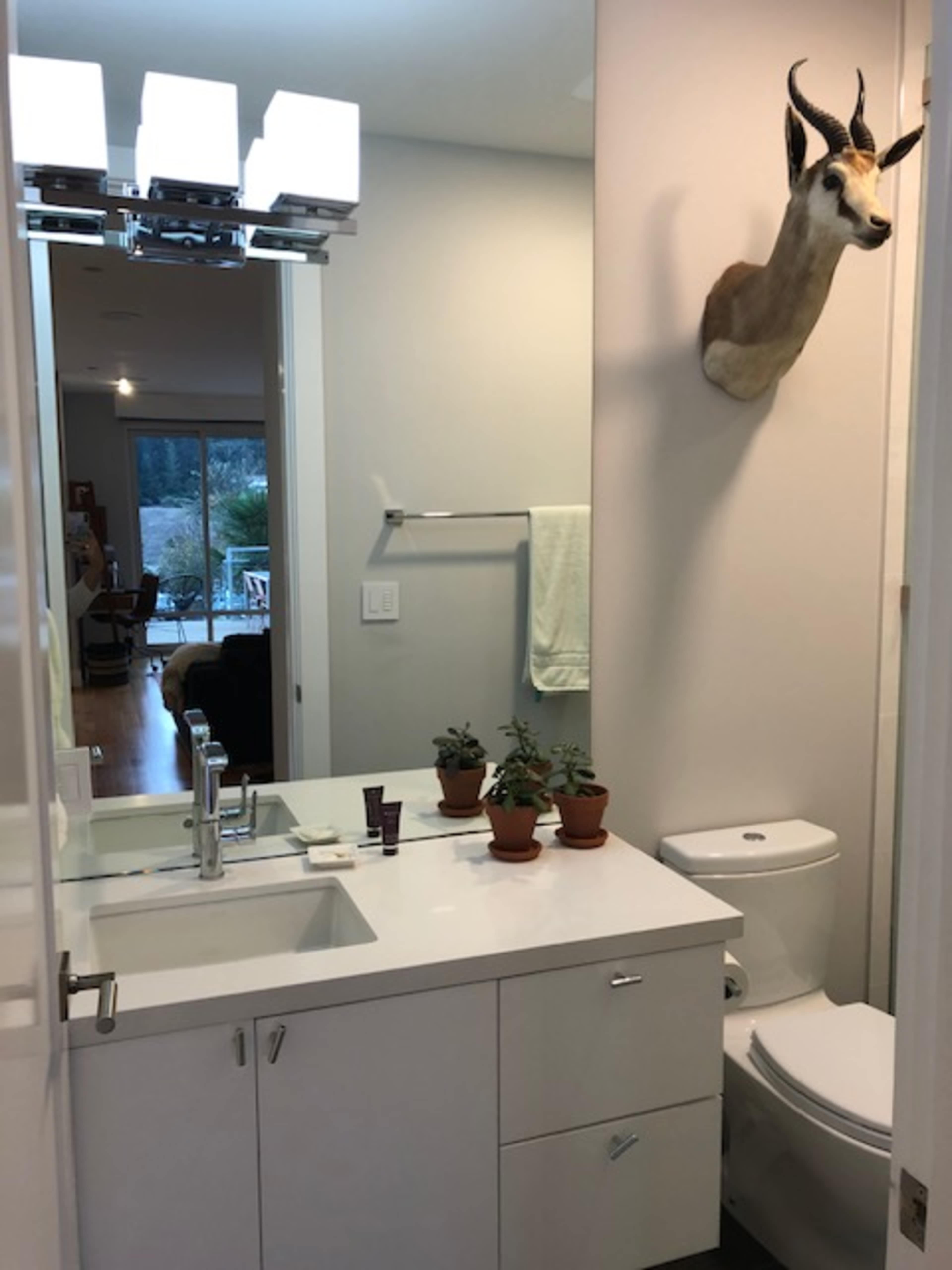 The image shows a modern bathroom with a white countertop, a toilet, potted plants, and a mounted deer head on the wall.
