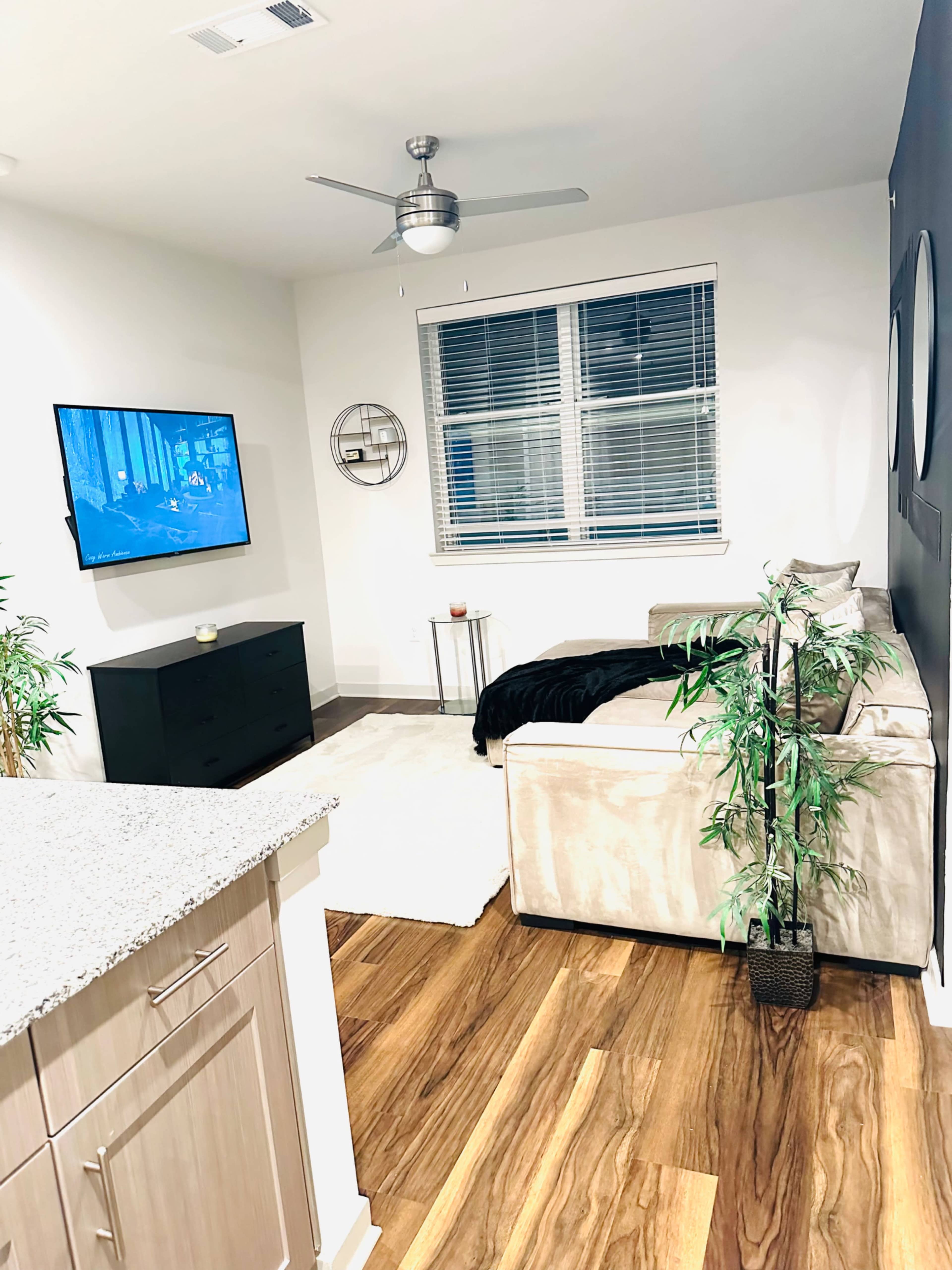 The image shows a modern living room with a couch, a TV mounted on the wall, a circular mirror, and a potted plant near a light-colored rug.