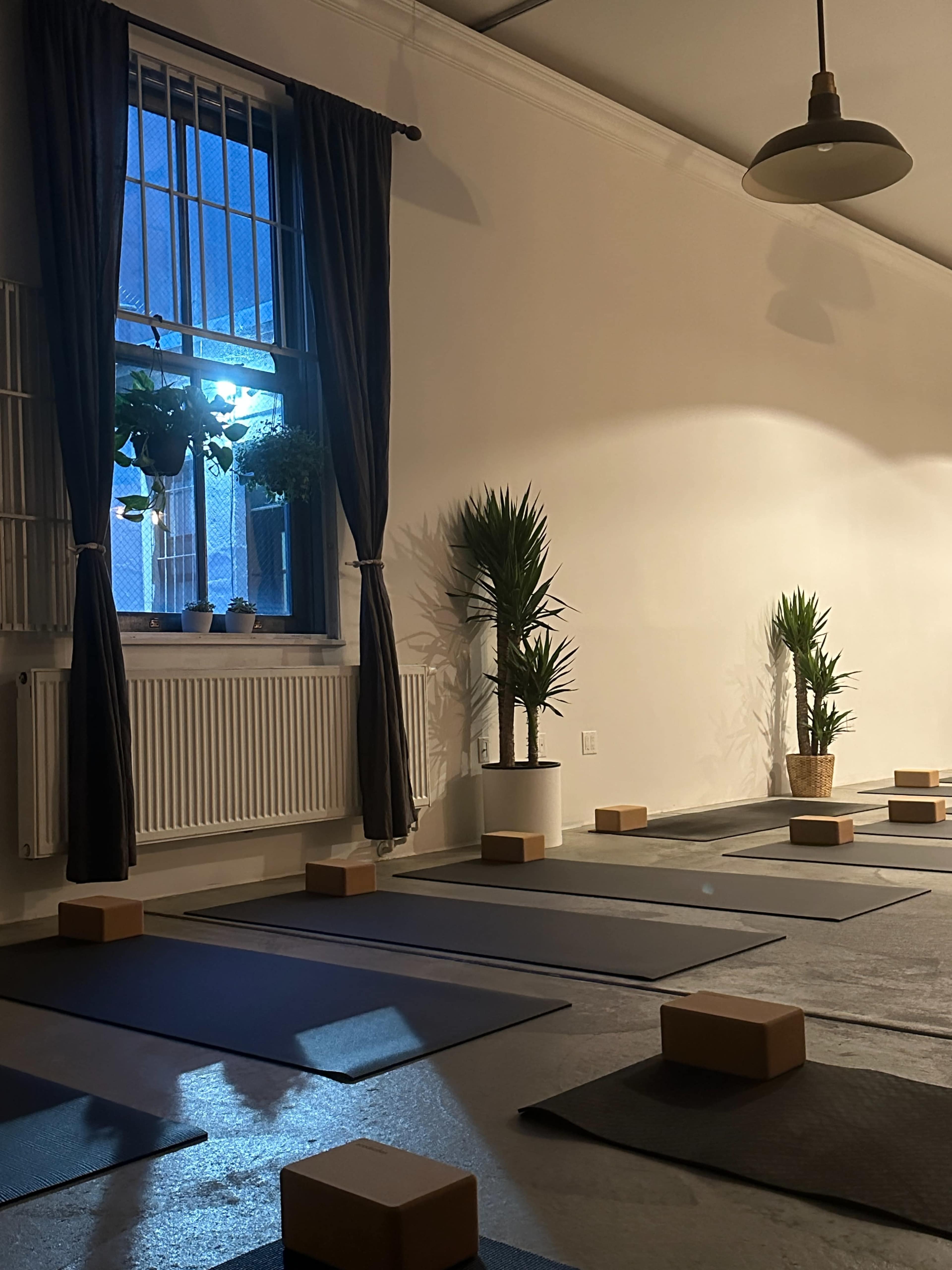 A yoga studio features several mats arranged on the floor, illuminated by a soft blue light coming from a window with potted plants nearby.