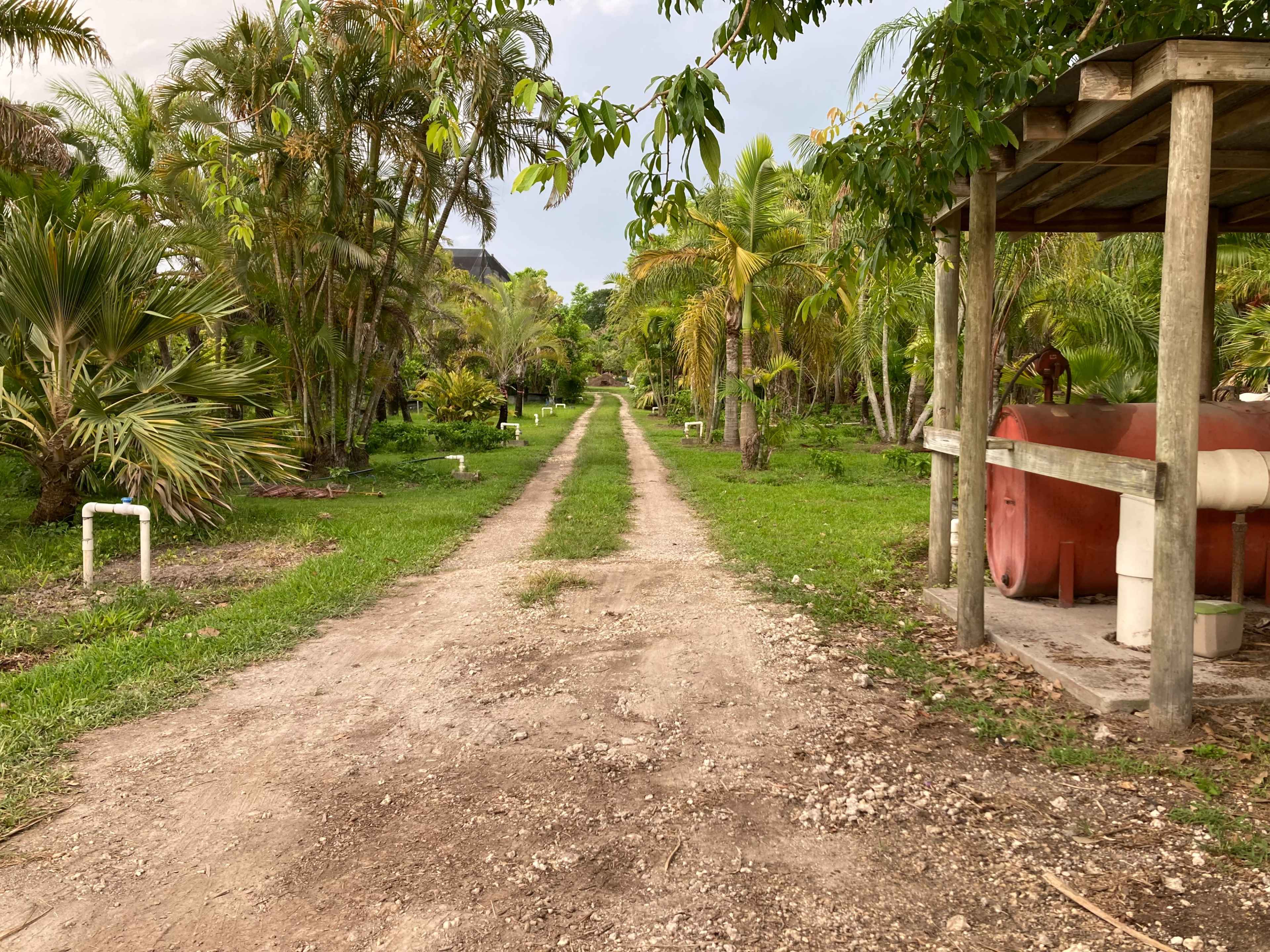 A dirt path lined with greenery leads to a structure on the right, with a large tank and various piping visible.