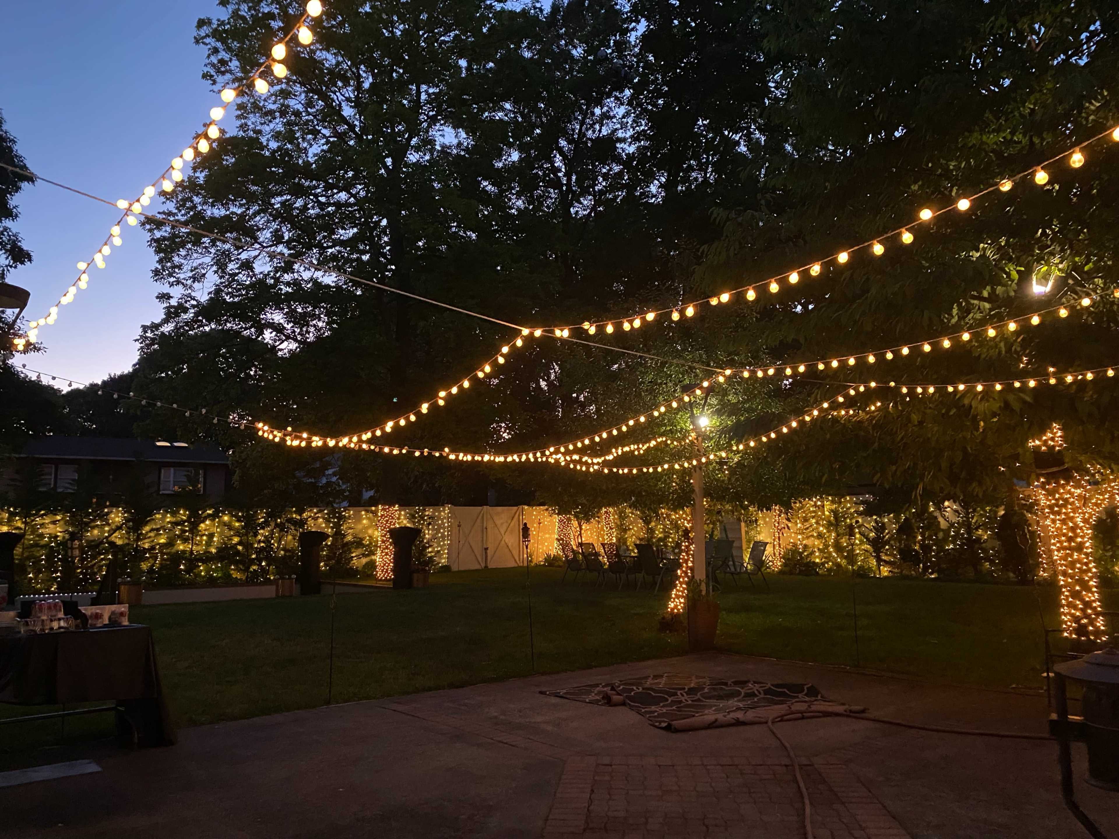 The image shows a dimly lit outdoor area with string lights hanging between trees, creating a festive atmosphere in a garden setting.