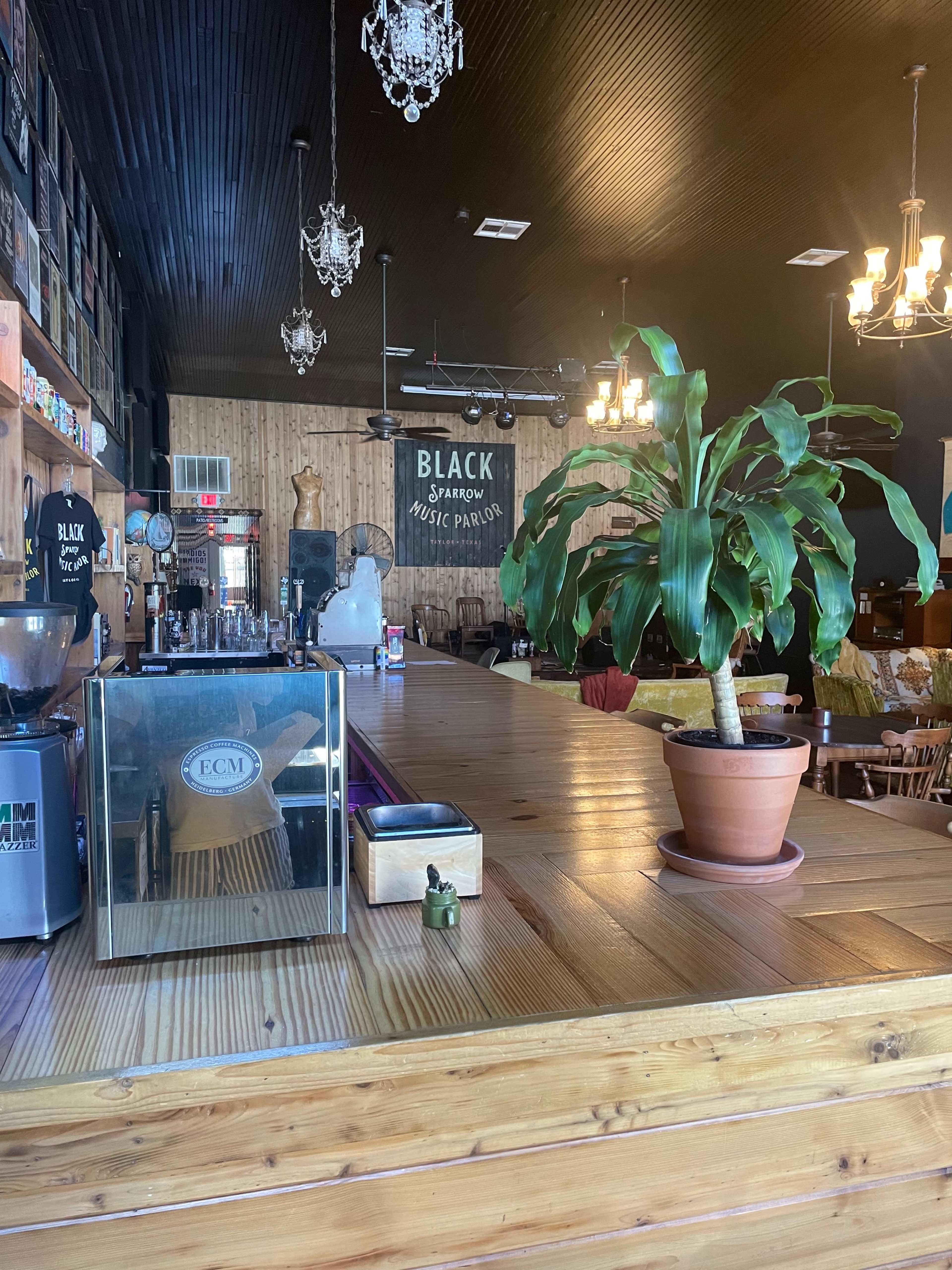 A wooden bar area in a music venue with a potted plant, hanging light fixtures, and a sign that reads "BLACK SPARROW MUSIC PARLOR" on the wall.
