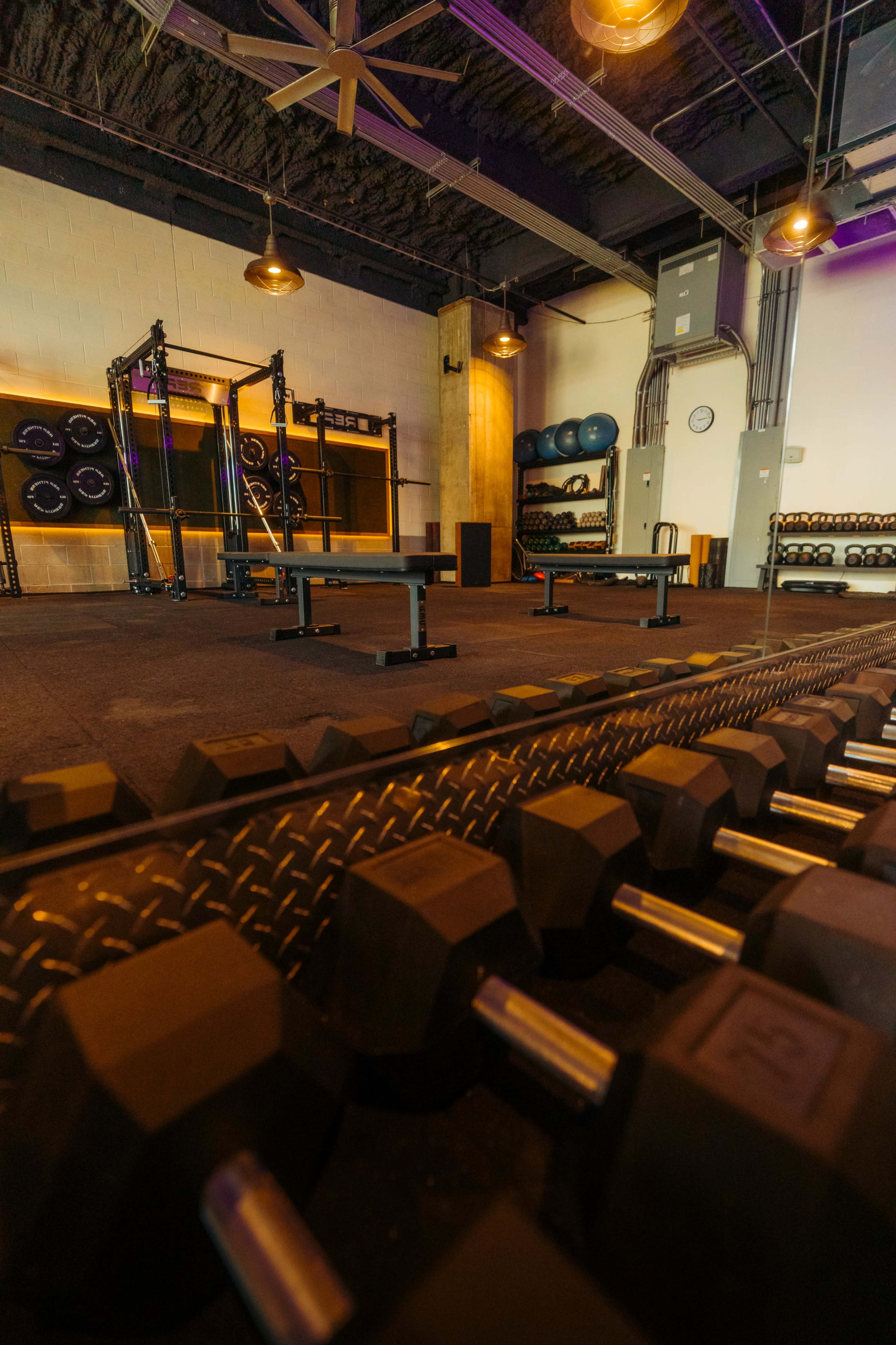 The image shows an empty gym space featuring weight benches, dumbbells, and various exercise equipment under warm lighting.