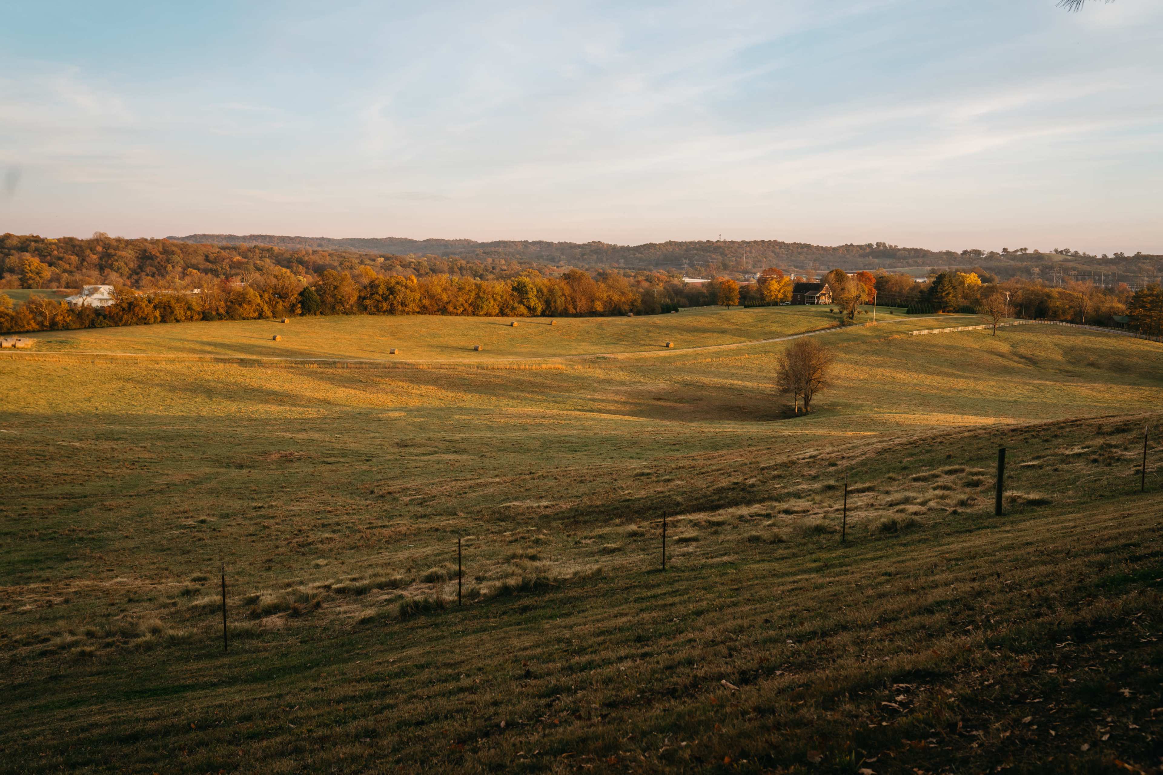 A rolling landscape of fields and trees during autumn, with bales of hay scattered across the grassy terrain.