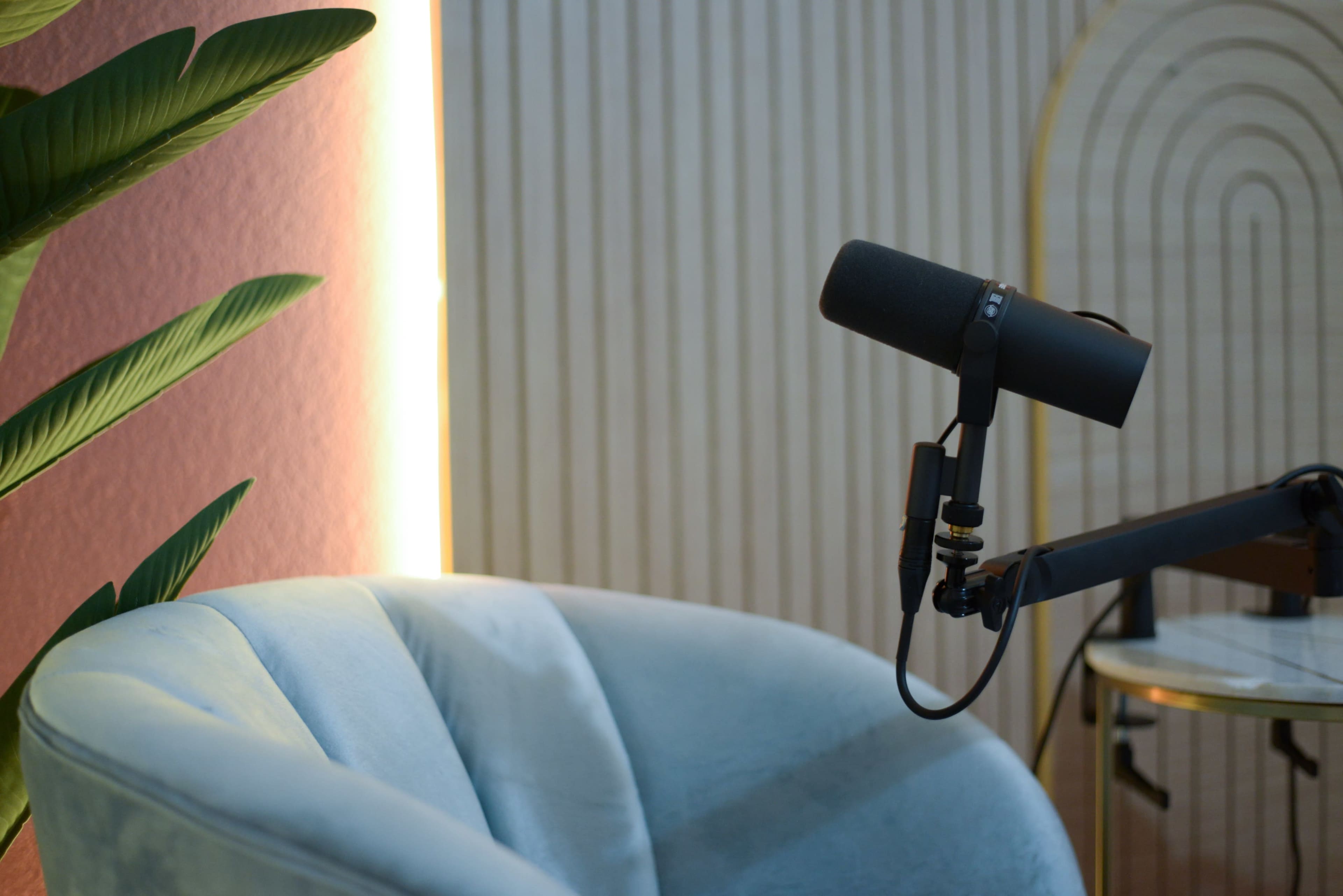 A microphone is positioned near a plush, light blue chair with a decorative background of vertical lines and foliage.