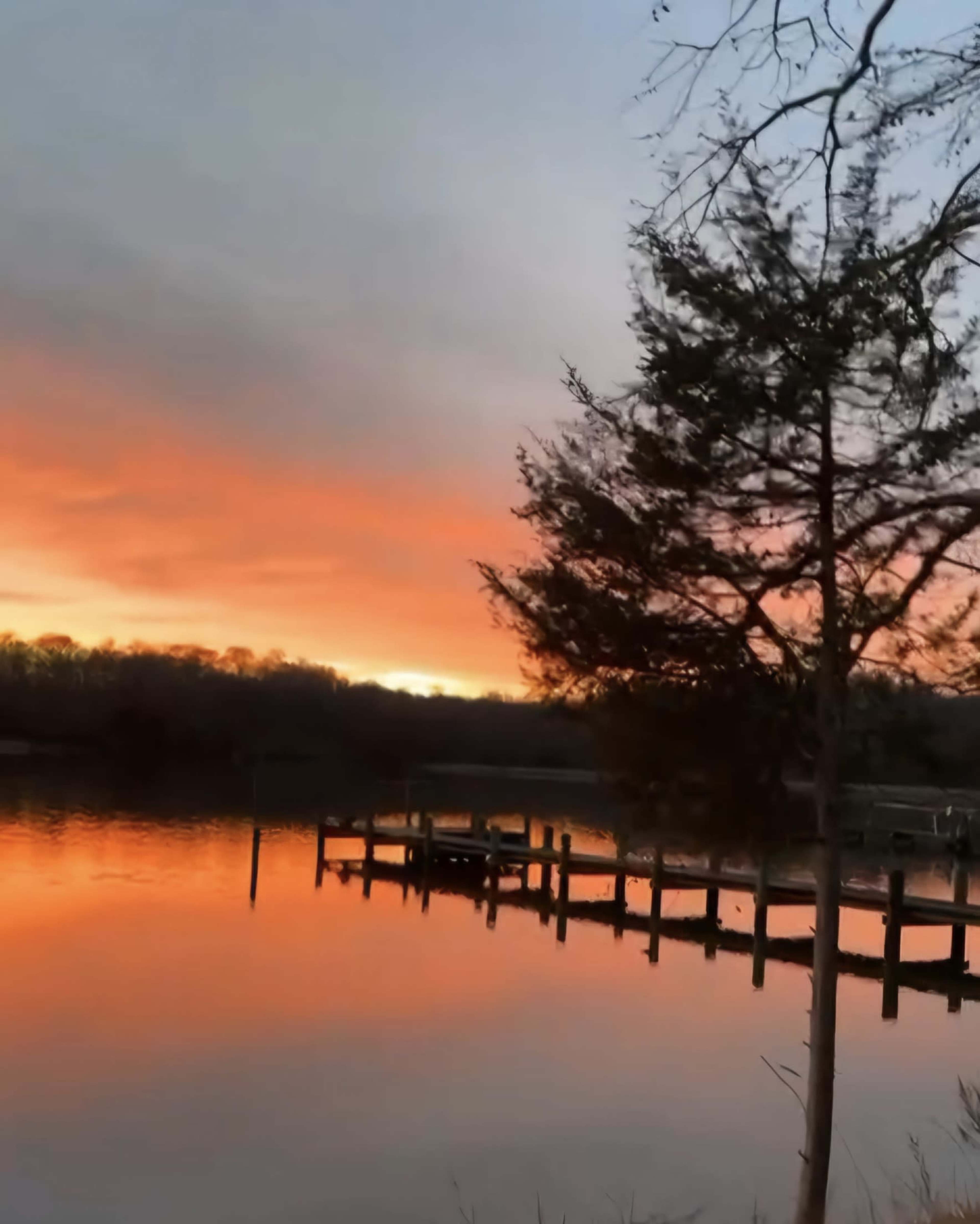 The image shows a tranquil lakeside scene at sunset, with vibrant colors reflecting on the water and a silhouetted tree in the foreground.