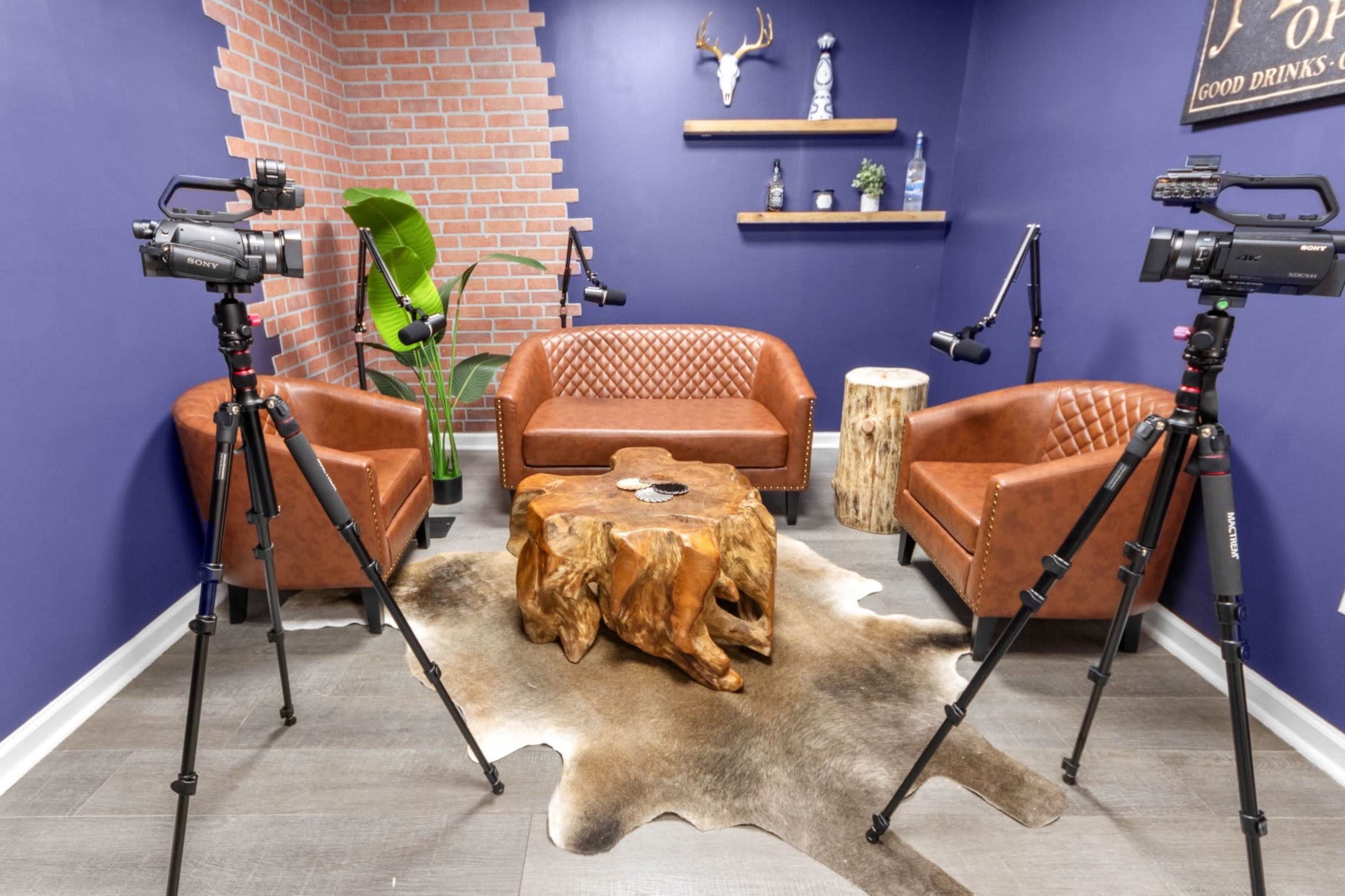 The image depicts a stylish recording studio or interview setup featuring two brown leather sofas, a wooden coffee table made from a tree stump, a decorative plant, and two cameras on tripods facing towards the center of the room.
