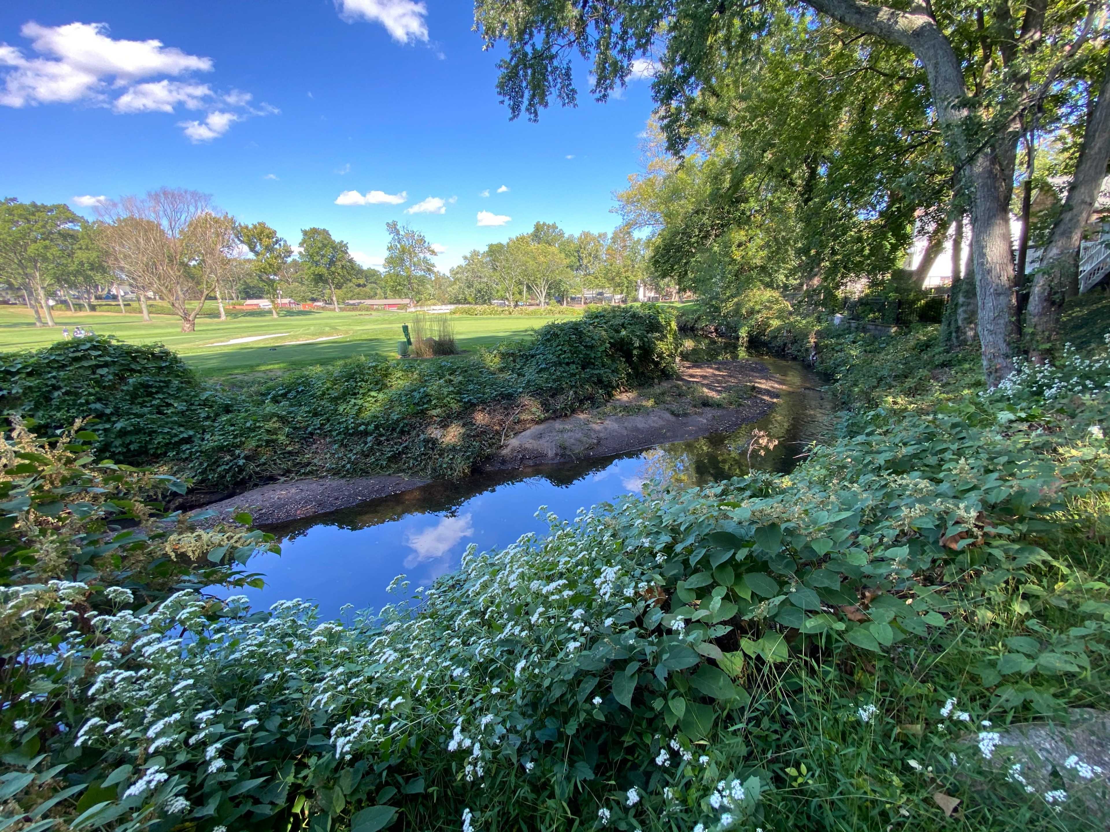 A shallow creek lined with greenery reflects the blue sky and trees in a park setting.