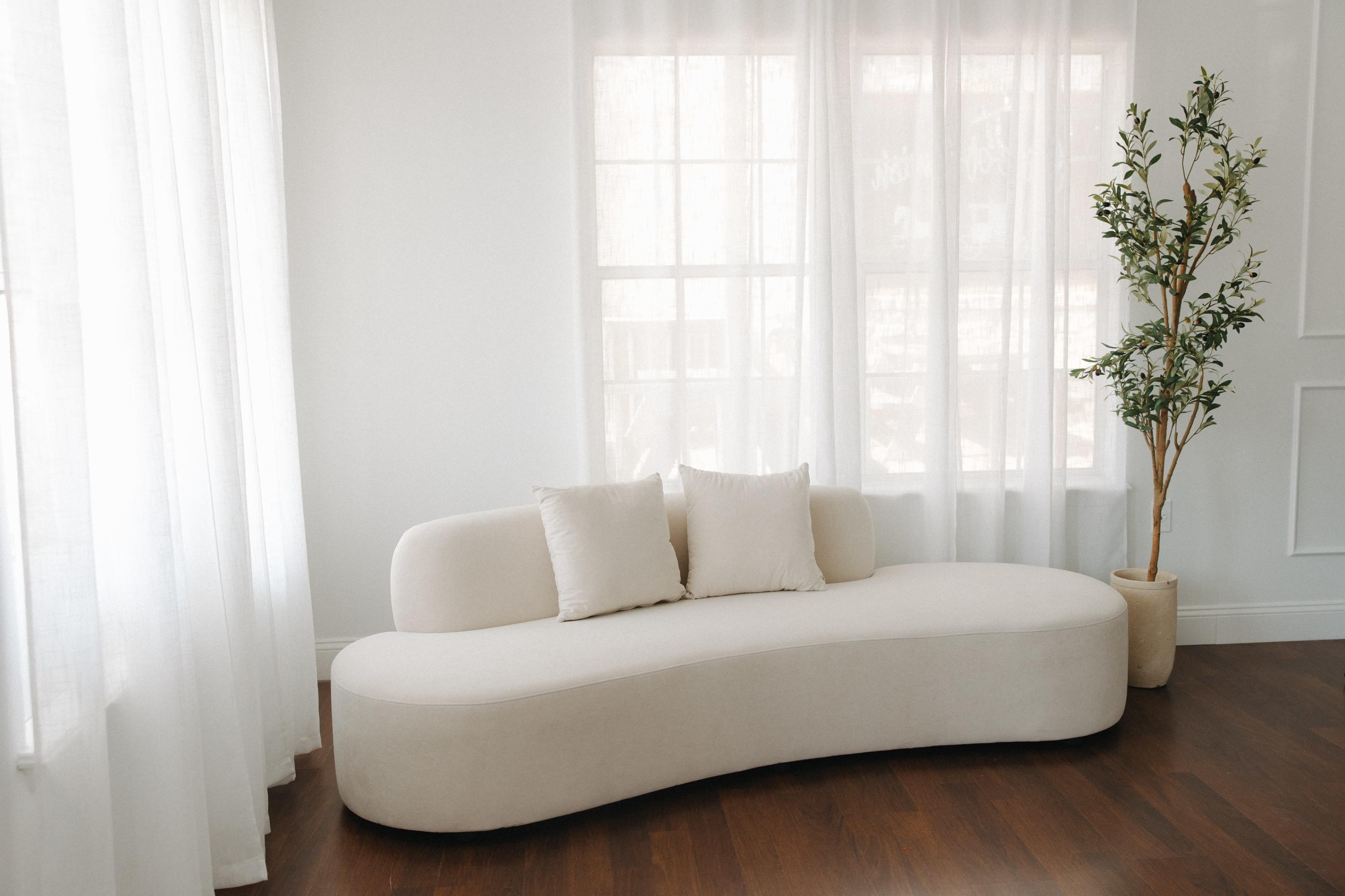 Natural Light Lifestyle Photography Studio Image in Montgomery, Montgomery, TX