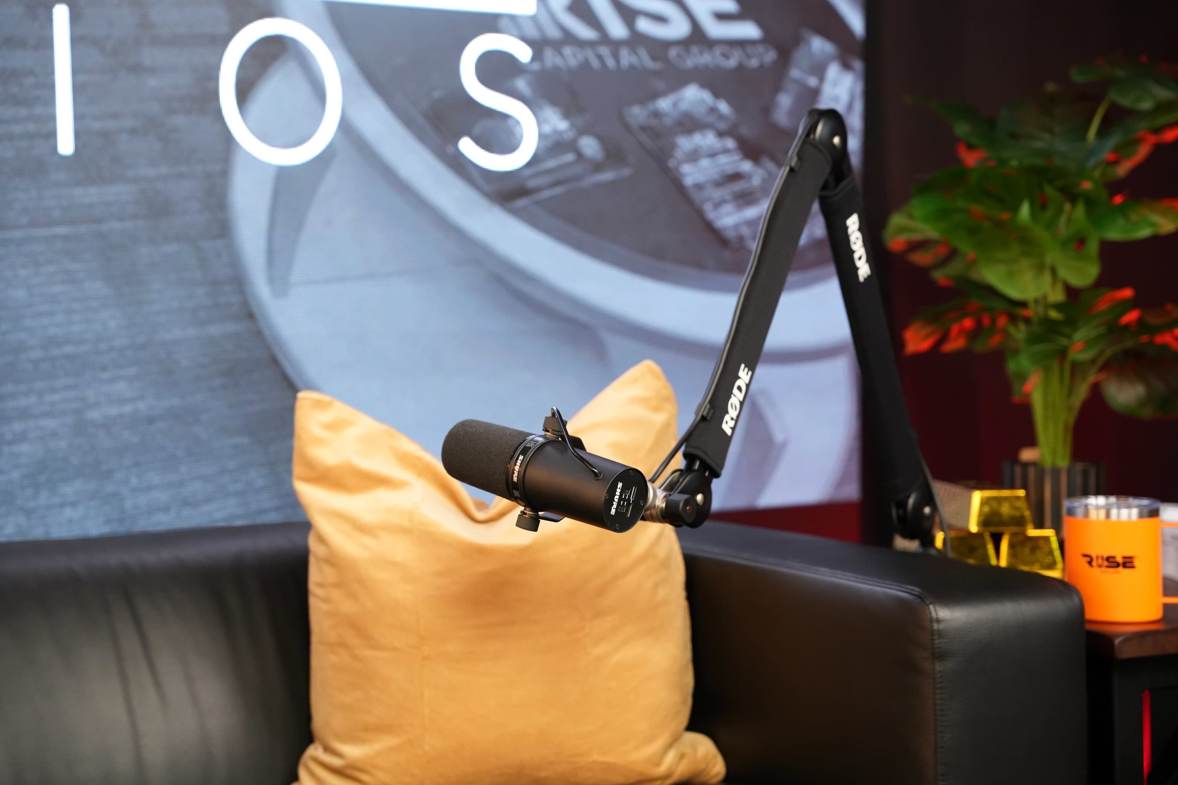 The image shows a black microphone mounted on an adjustable arm positioned next to a gold pillow on a black couch, with a branded background featuring "RISE" and a plant in the corner.