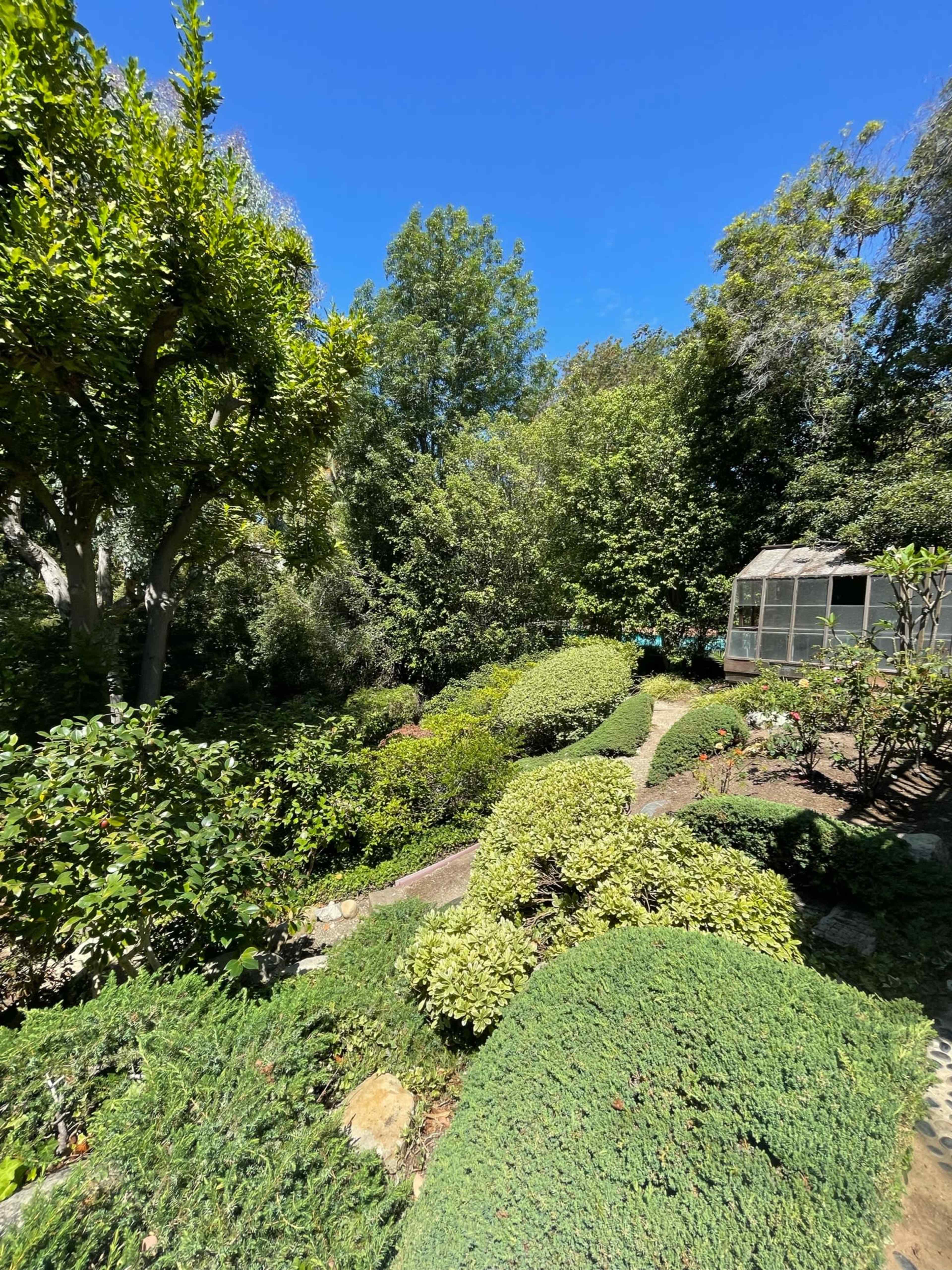 A lush garden with neatly trimmed bushes and a winding pathway, surrounded by tall trees under a clear blue sky.