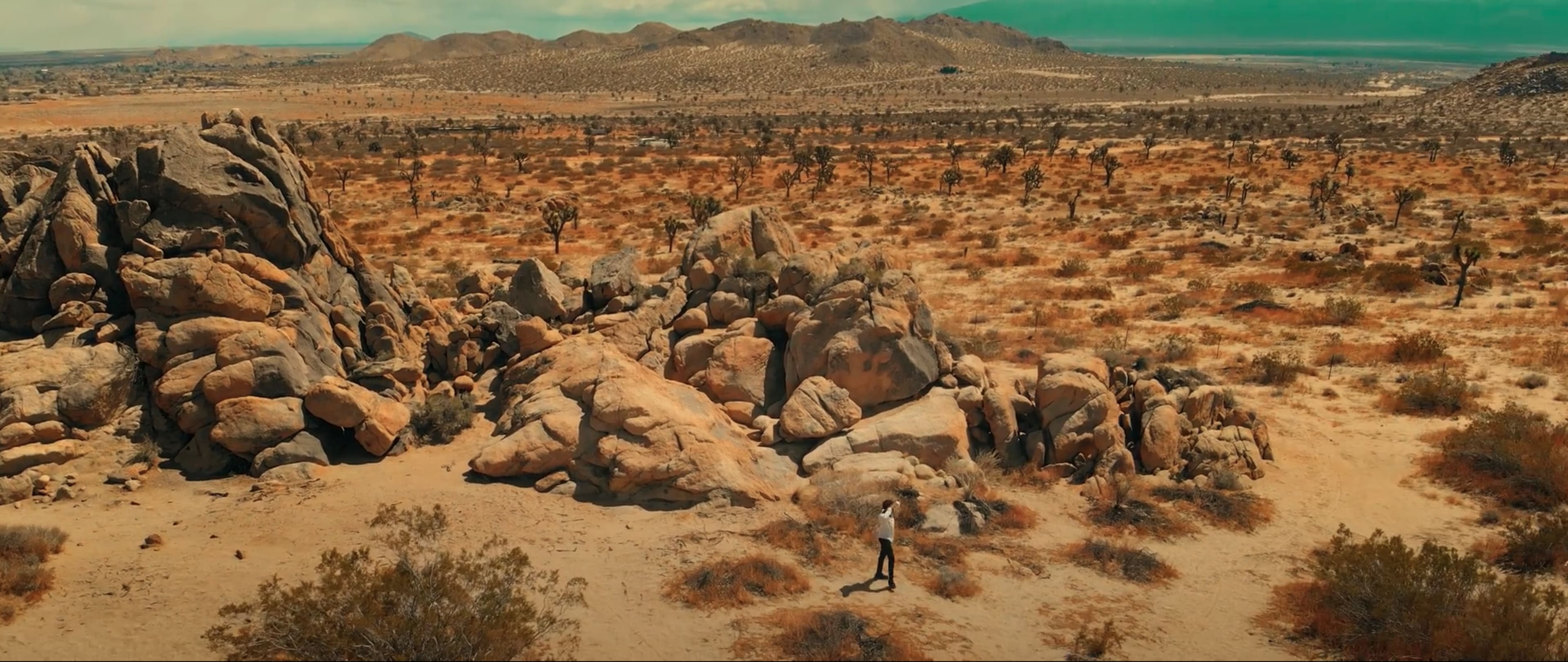 A person walks among large boulders in a desert landscape featuring sparse vegetation and distant mountains.