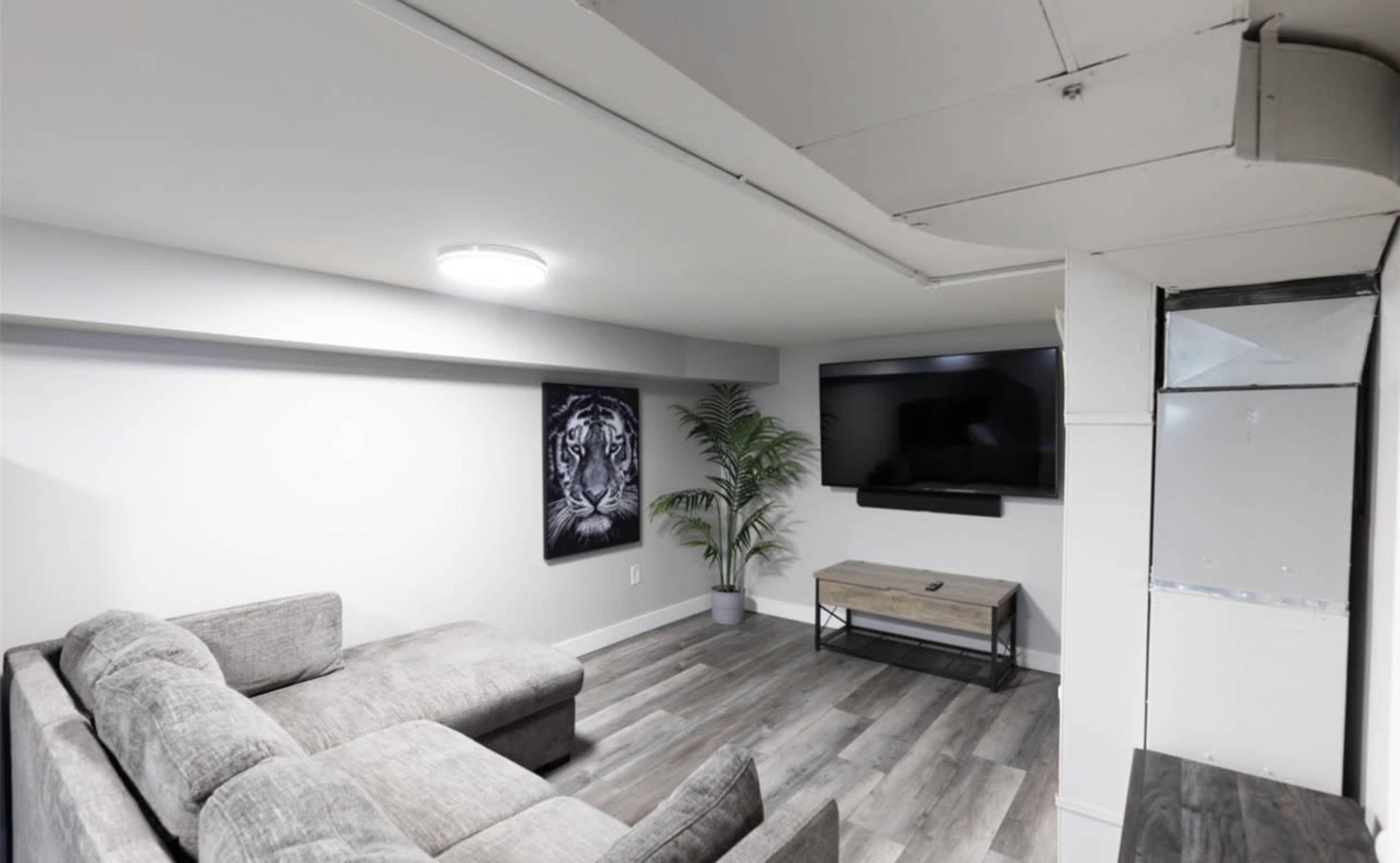 The image shows a modern basement living area featuring a gray sectional couch, a wall-mounted television, a framed artwork of a tiger, and a decorative plant beside a wooden TV stand.