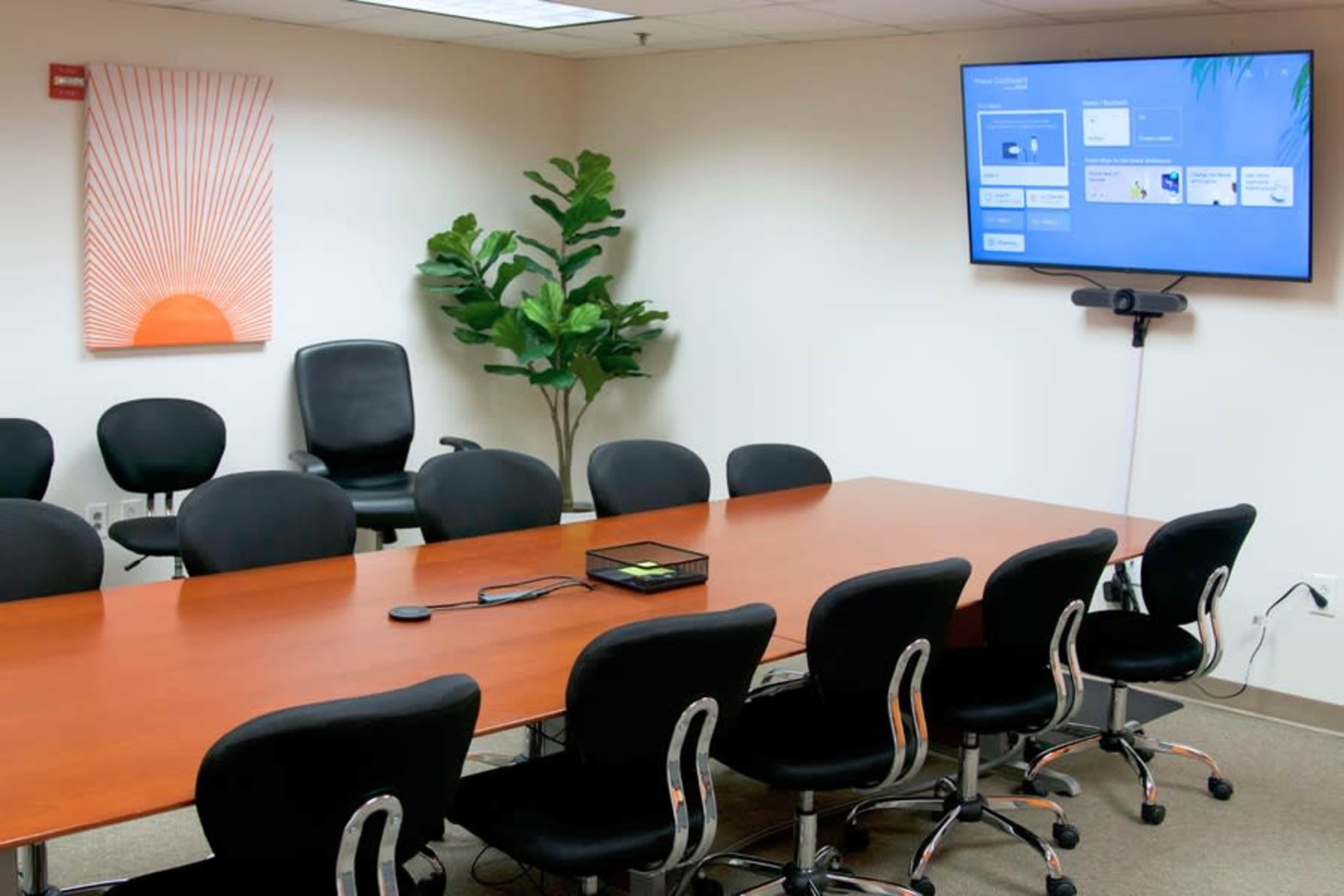 The image shows a conference room with a large wooden table, ergonomic chairs, a flat-screen TV mounted on the wall, and a decorative plant in the corner.