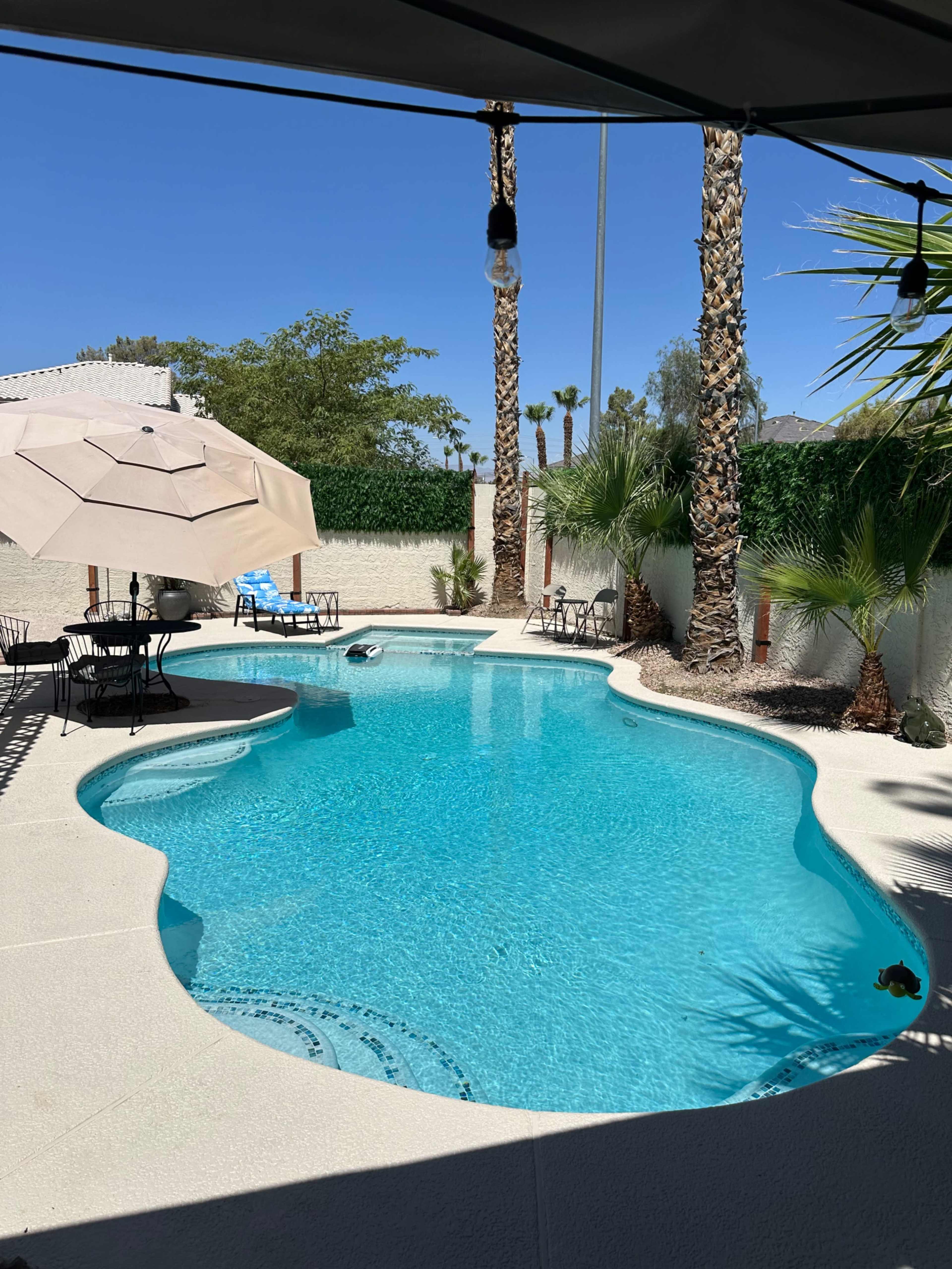 The image shows a swimming pool surrounded by palm trees and patio furniture under a shade umbrella, with clear blue skies in the background.