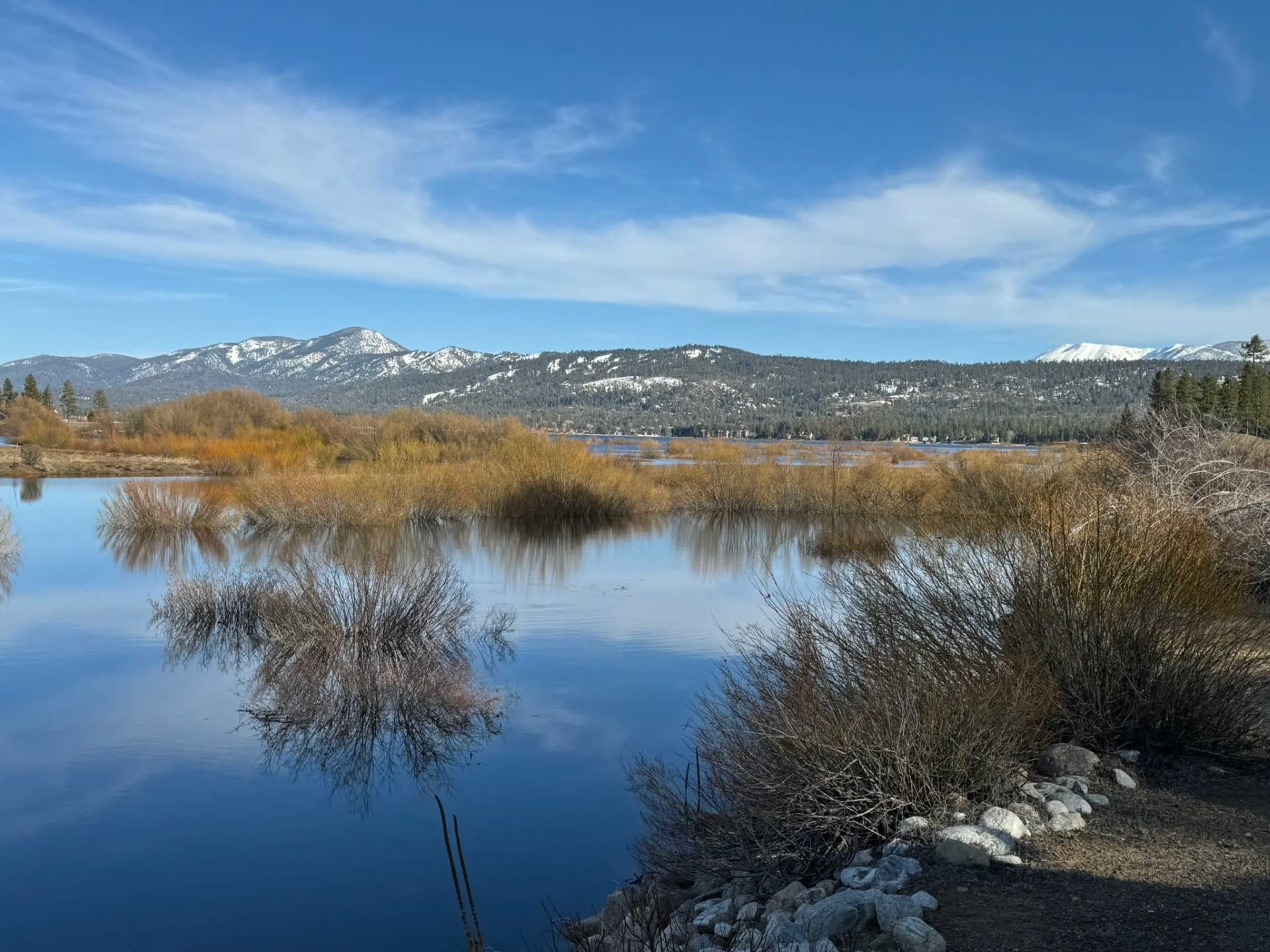 The image shows a calm lake surrounded by dense bushes and mountains in the background under a clear blue sky.