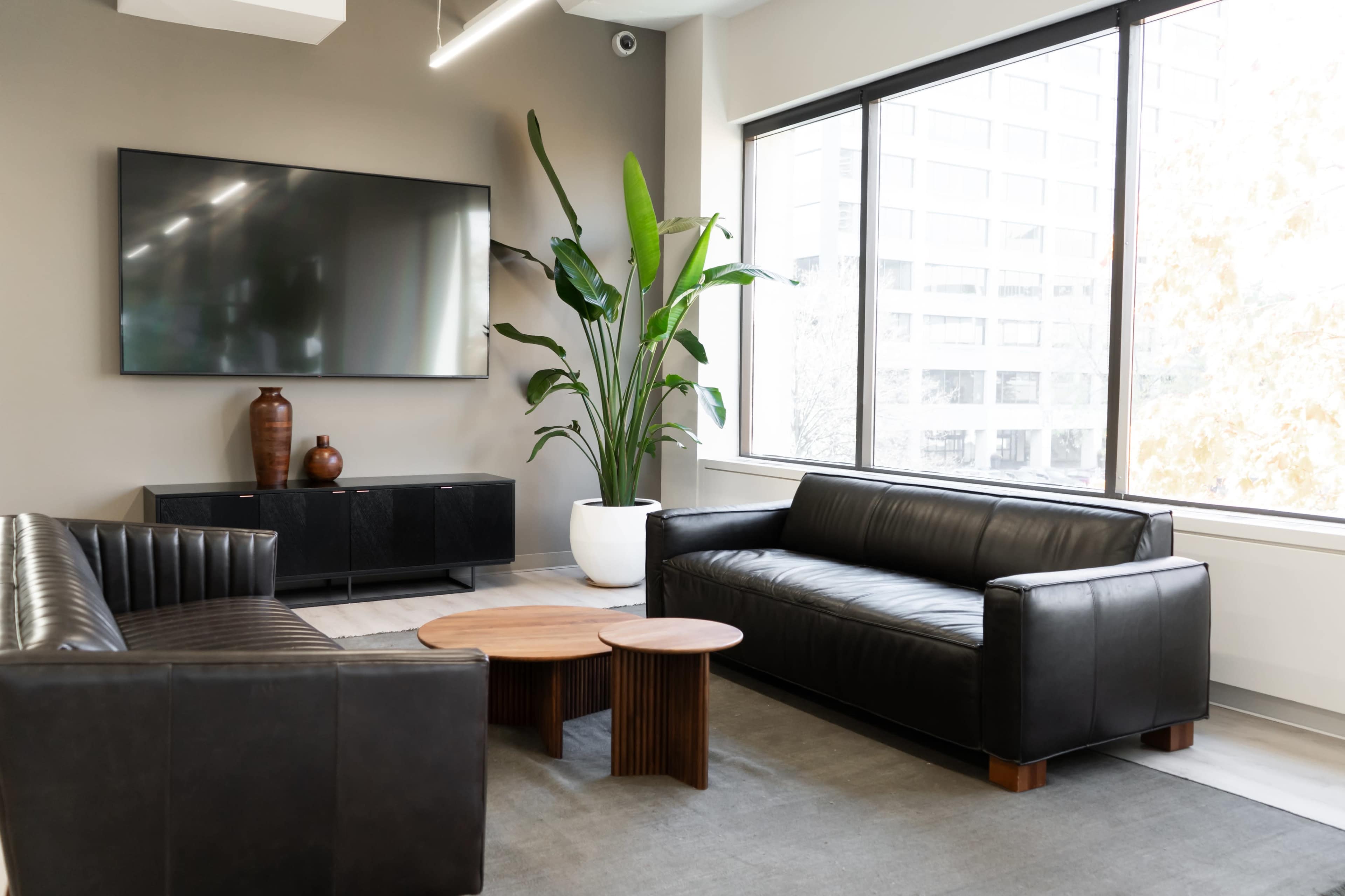 The image shows a modern office lounge area with two black leather sofas, a wooden coffee table, a large television mounted on the wall, and a tall green plant by the window.