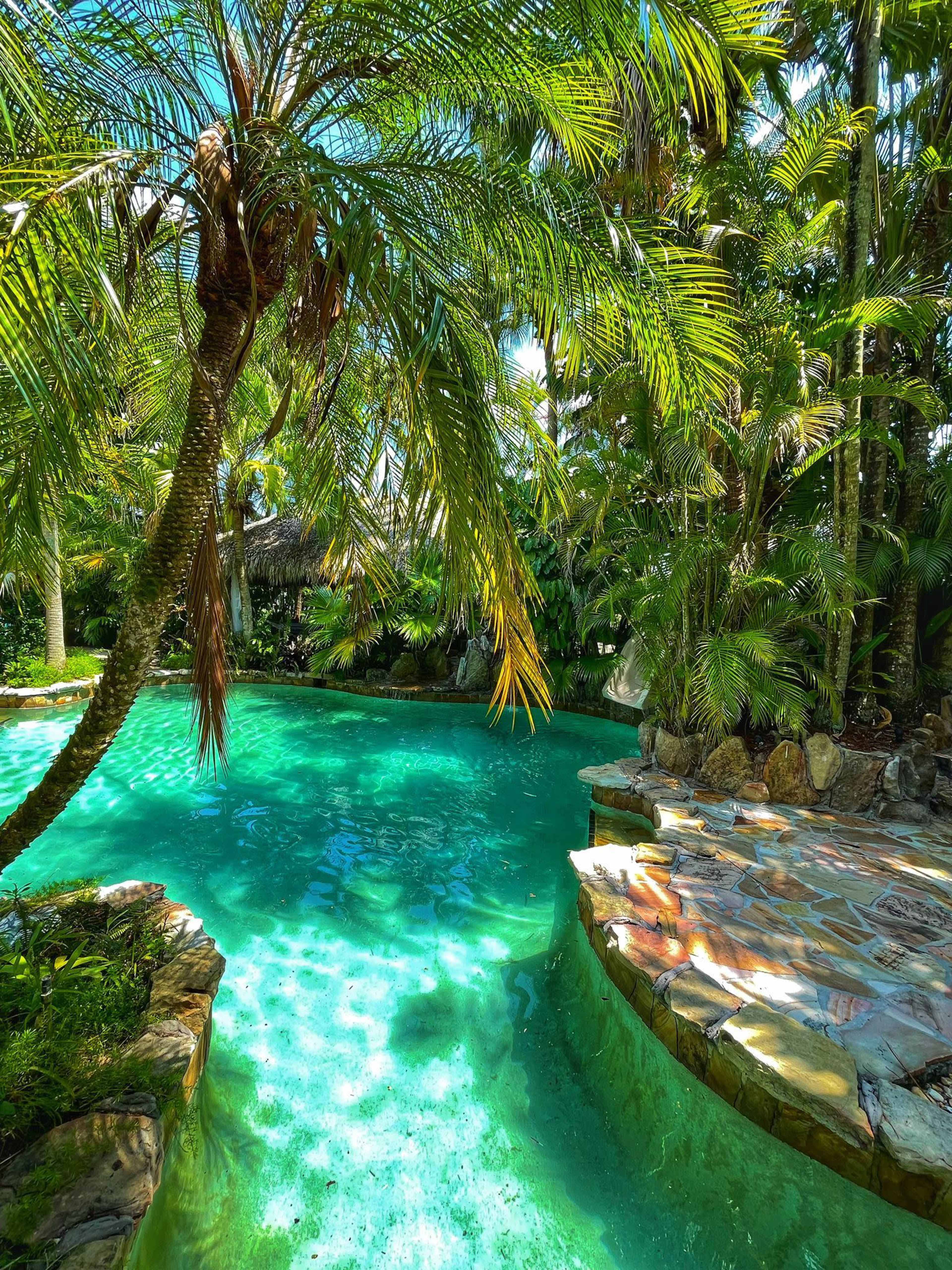 The image shows a tropical swimming pool surrounded by lush palm trees and vibrant greenery.