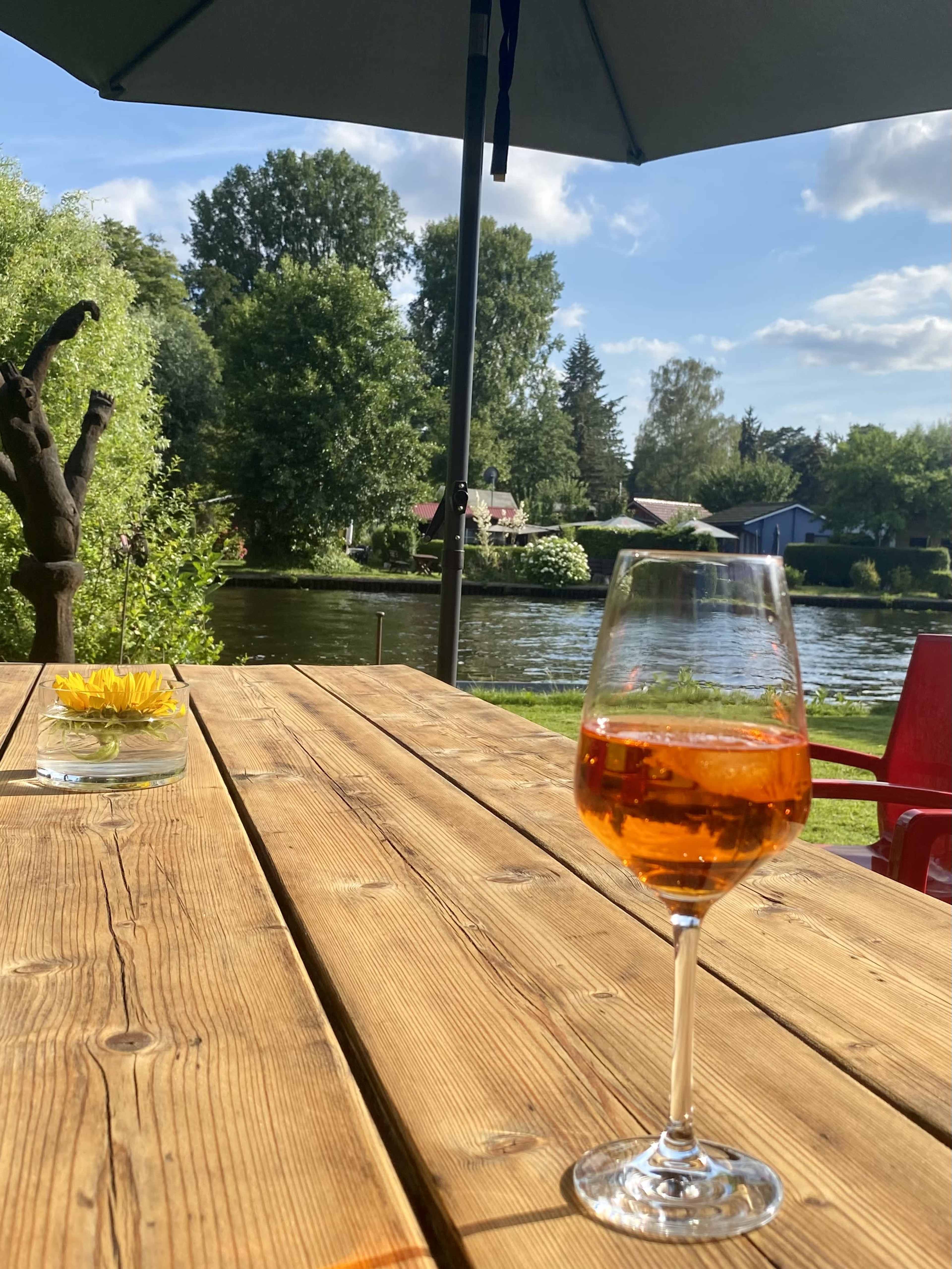A glass of orange beverage sits on a wooden table beside a small flower vase, with a serene riverside view in the background.