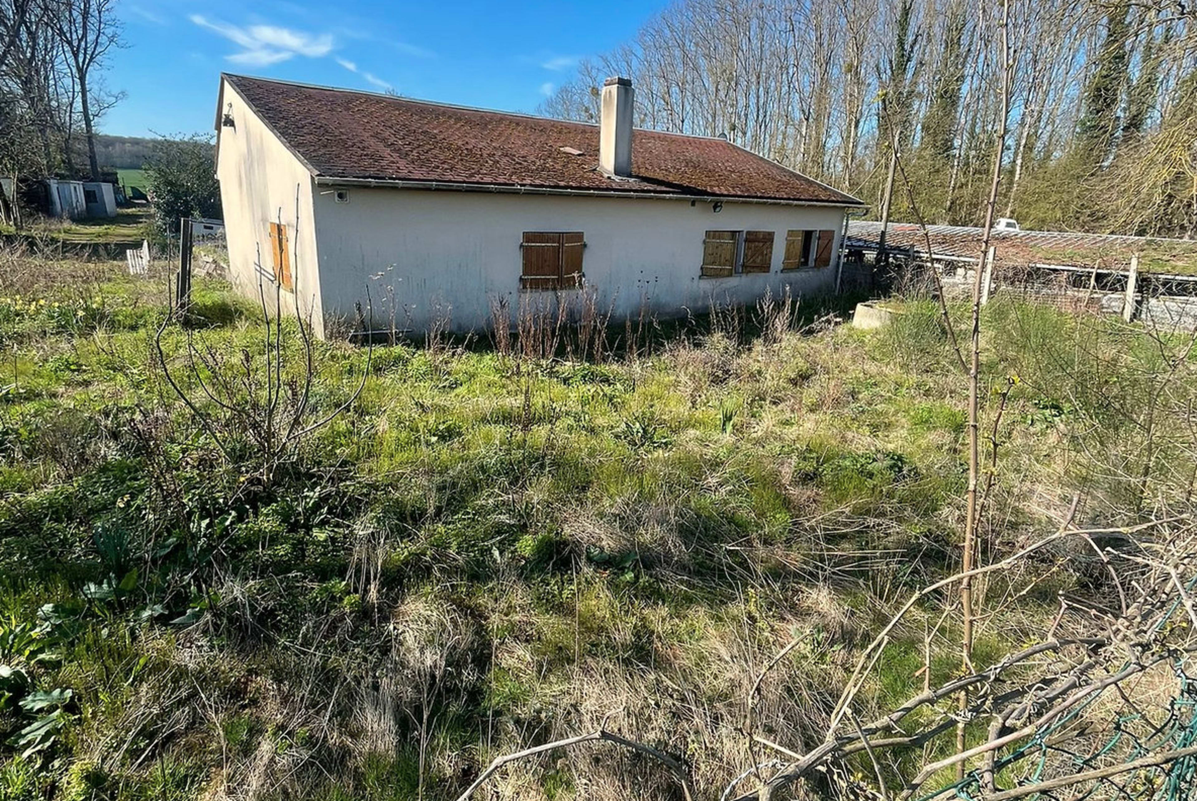A single-story house with boarded windows stands in an overgrown yard surrounded by trees.