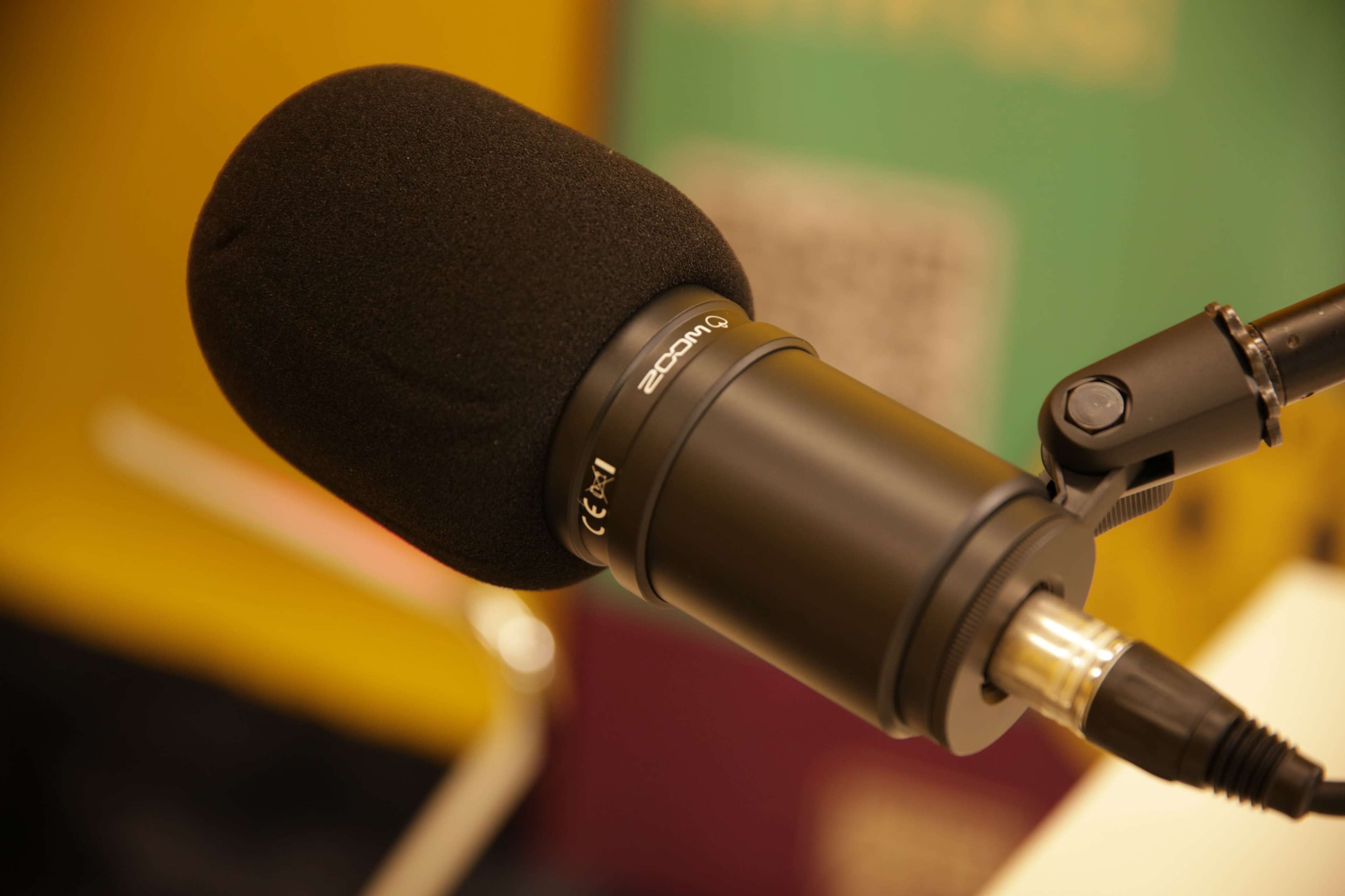 A black microphone with a fuzzy windscreen is mounted on a swivel arm.