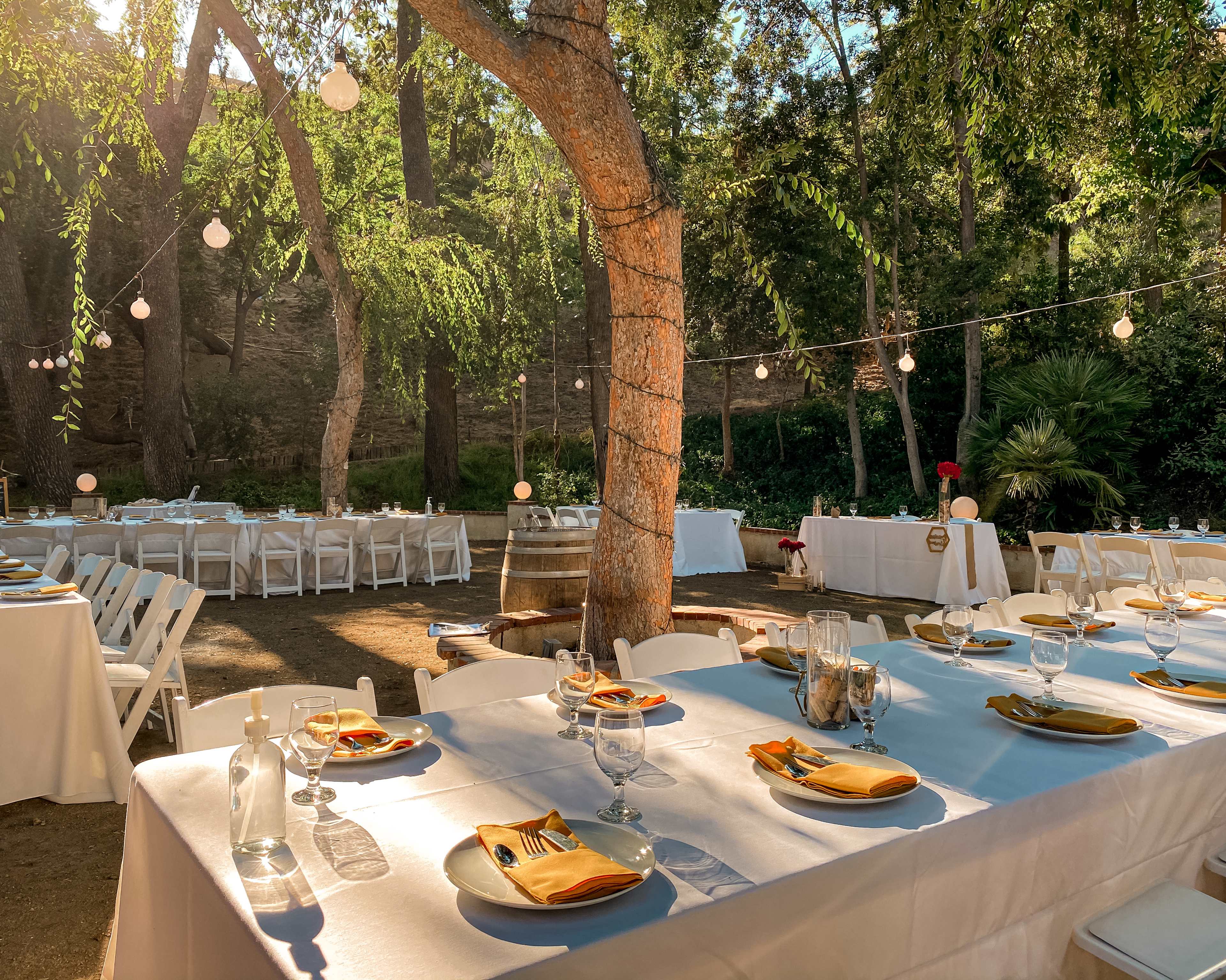 An elegant outdoor dining setup features white tables with yellow napkins under string lights amidst trees.