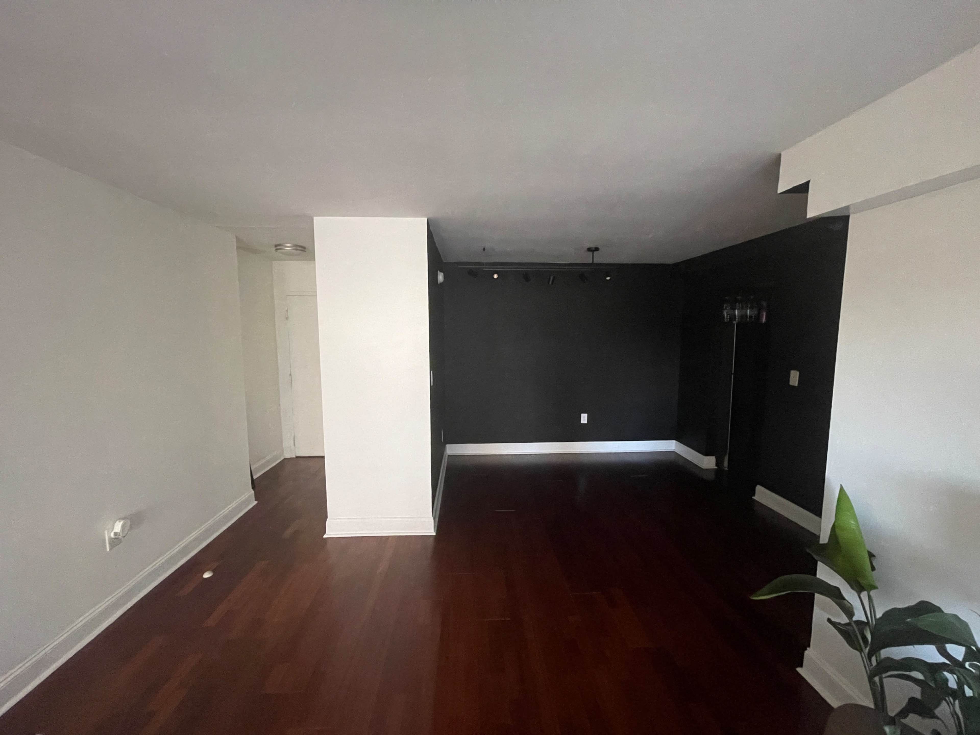 A room with dark walls, hardwood floors, and a plant in the foreground.