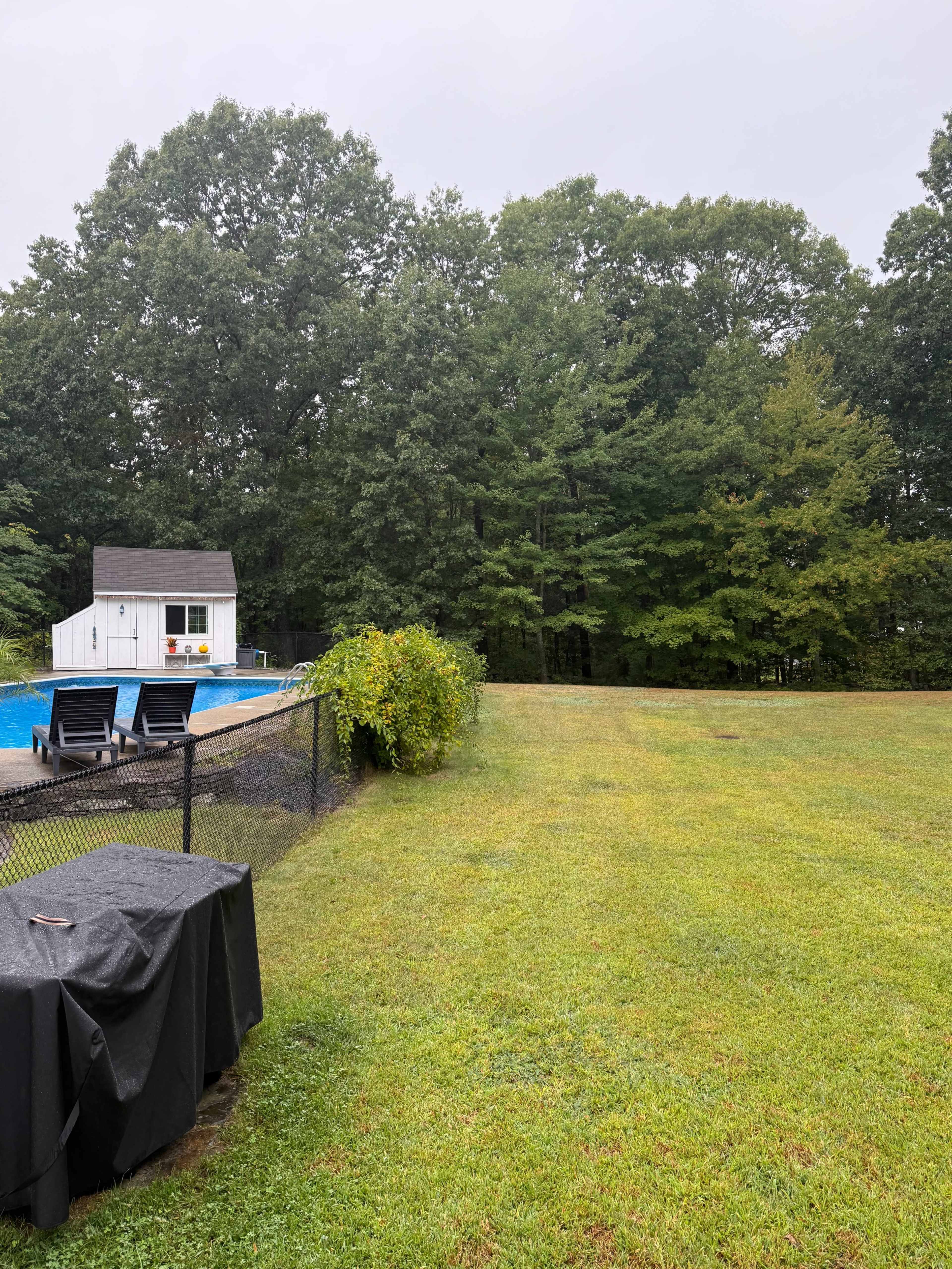 The image shows a grassy yard with a swimming pool and a small white shed surrounded by trees on a cloudy day.