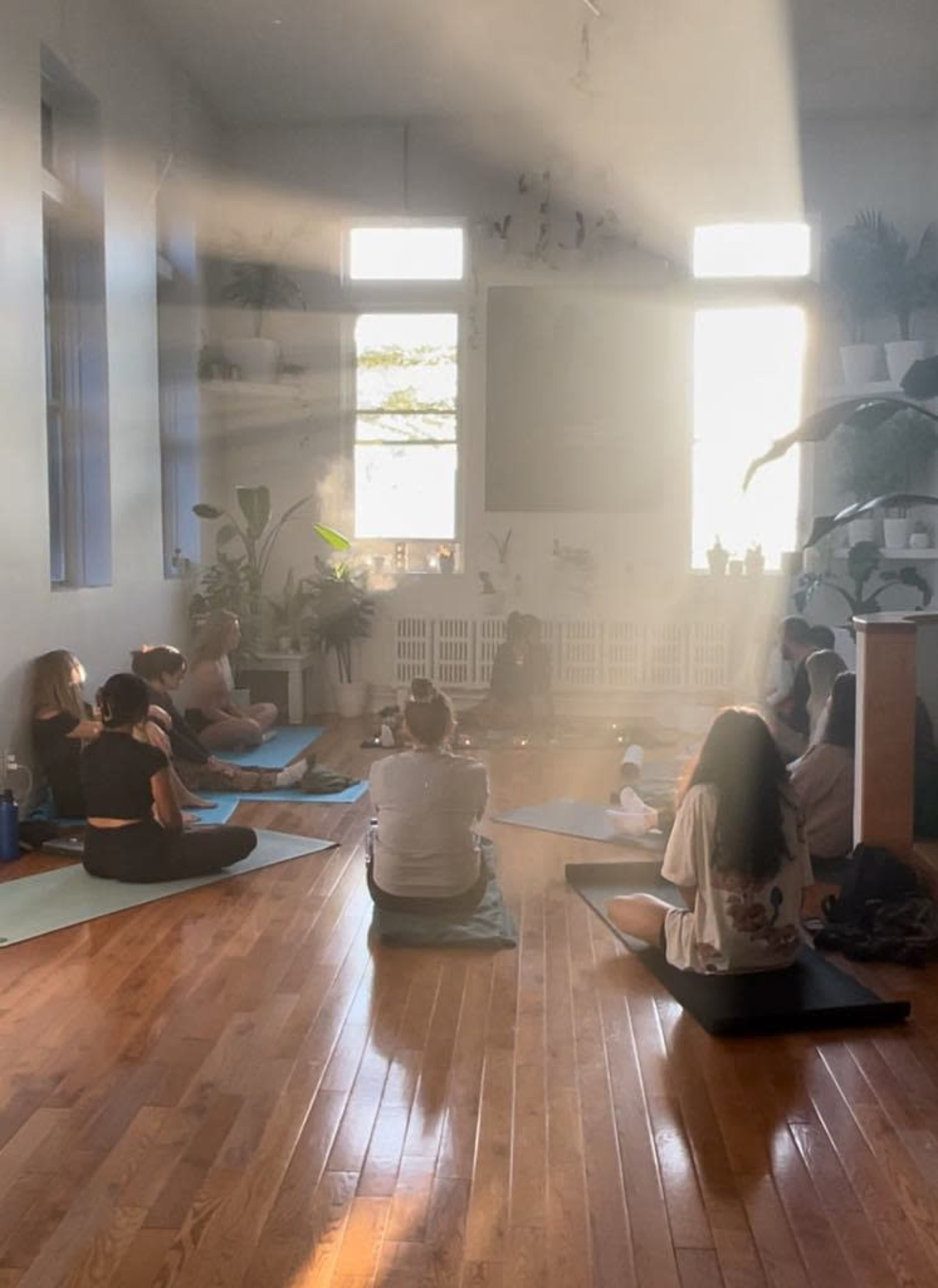 A group of people sit on yoga mats in a sunlit room filled with plants.