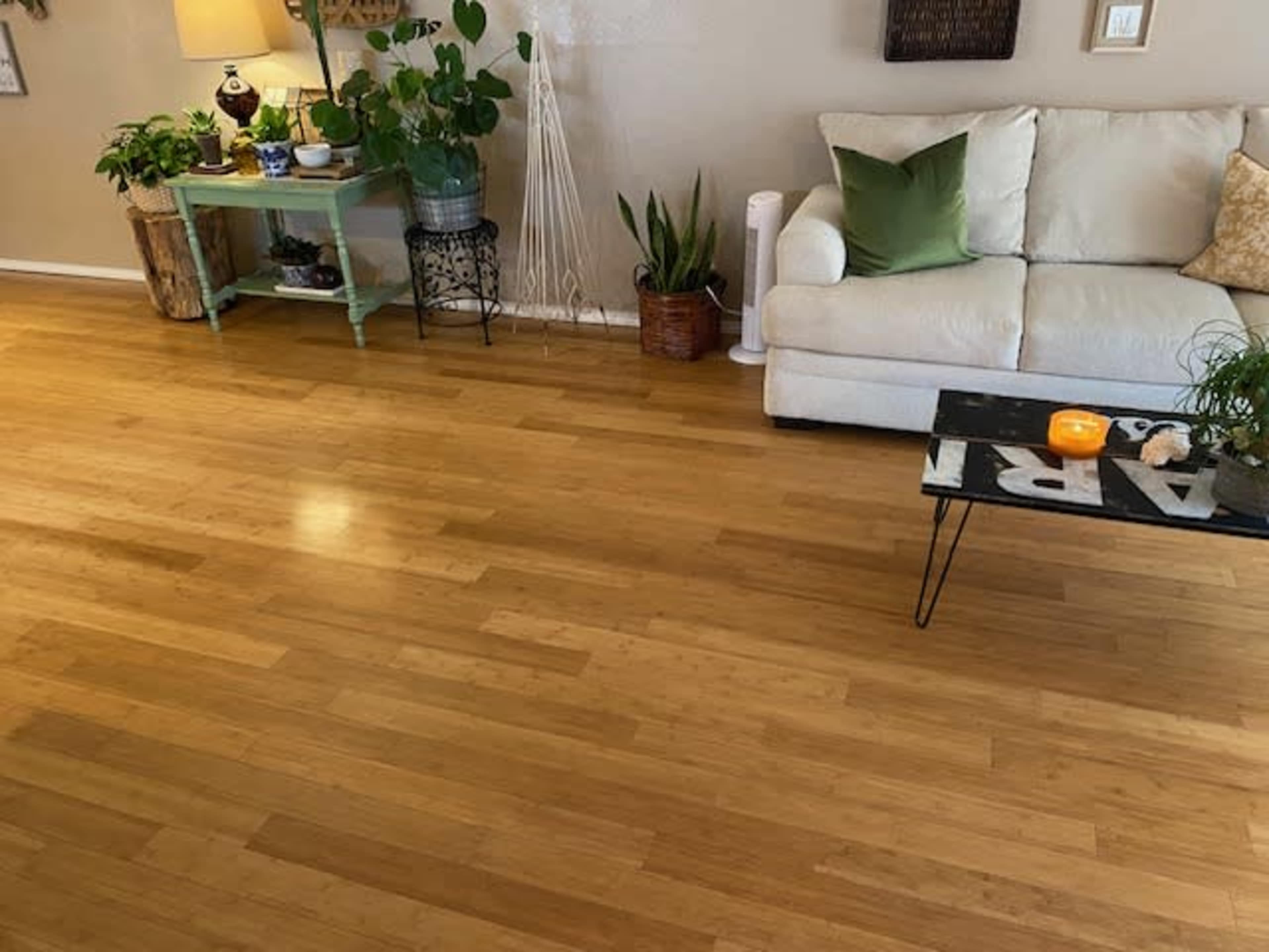 The scene features a living room with bamboo flooring, a light-colored sofa, a green accent pillow, a coffee table with decorative items, and various plants.