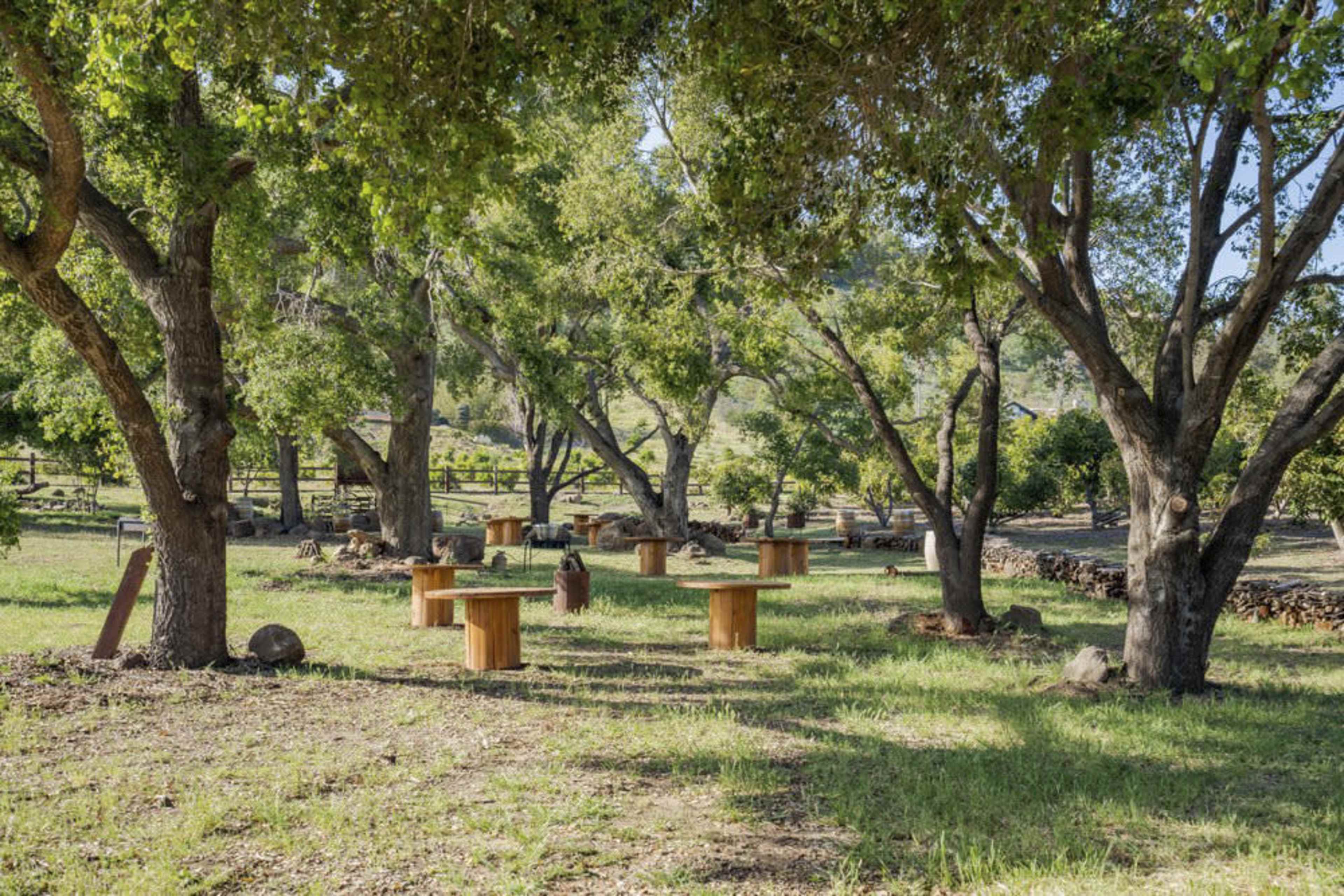 A tranquil outdoor space features several wooden tables surrounded by green trees and grassy terrain.