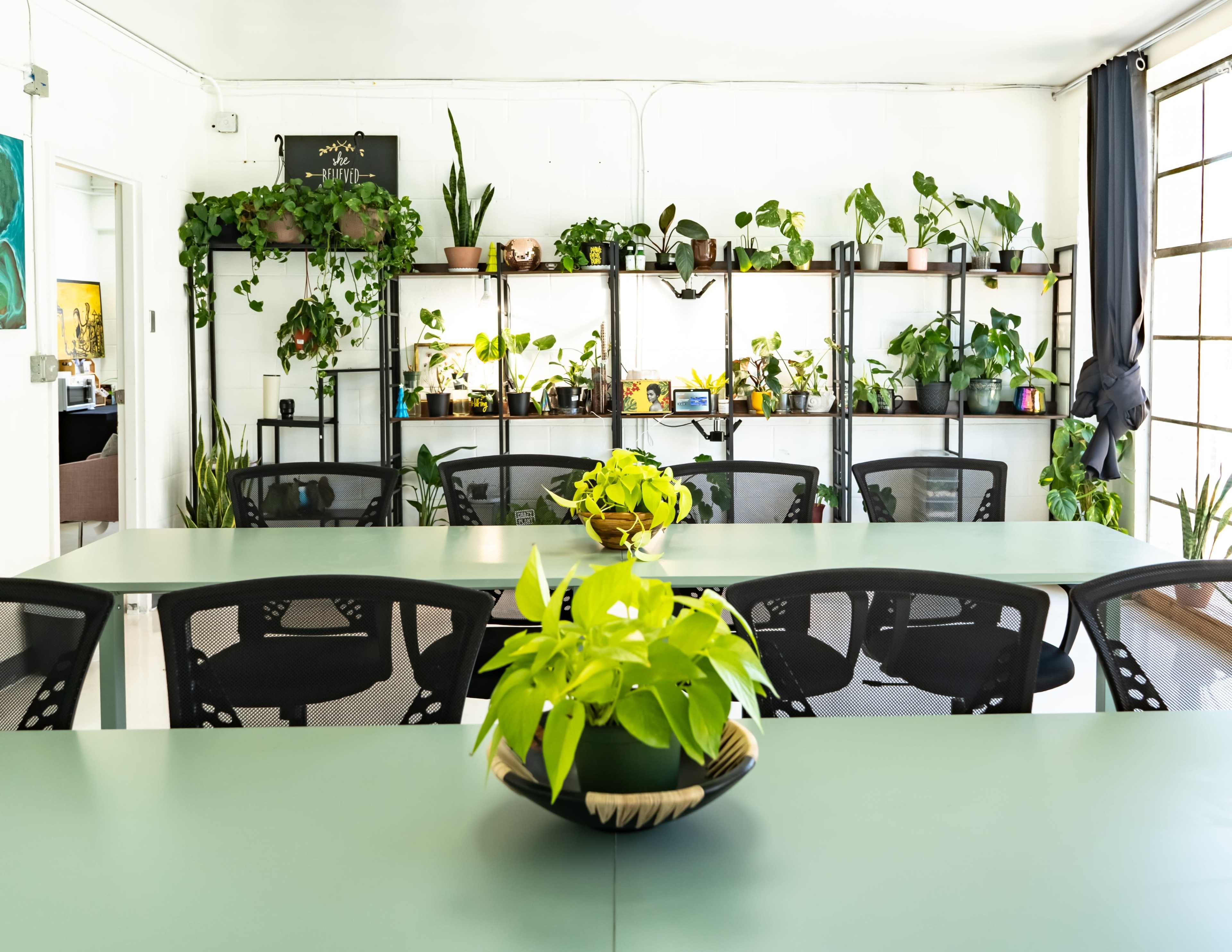 Versatile Plant Studio for Team Meetings, Classes and Workshops Image in Lakewood Heights, Atlanta, GA