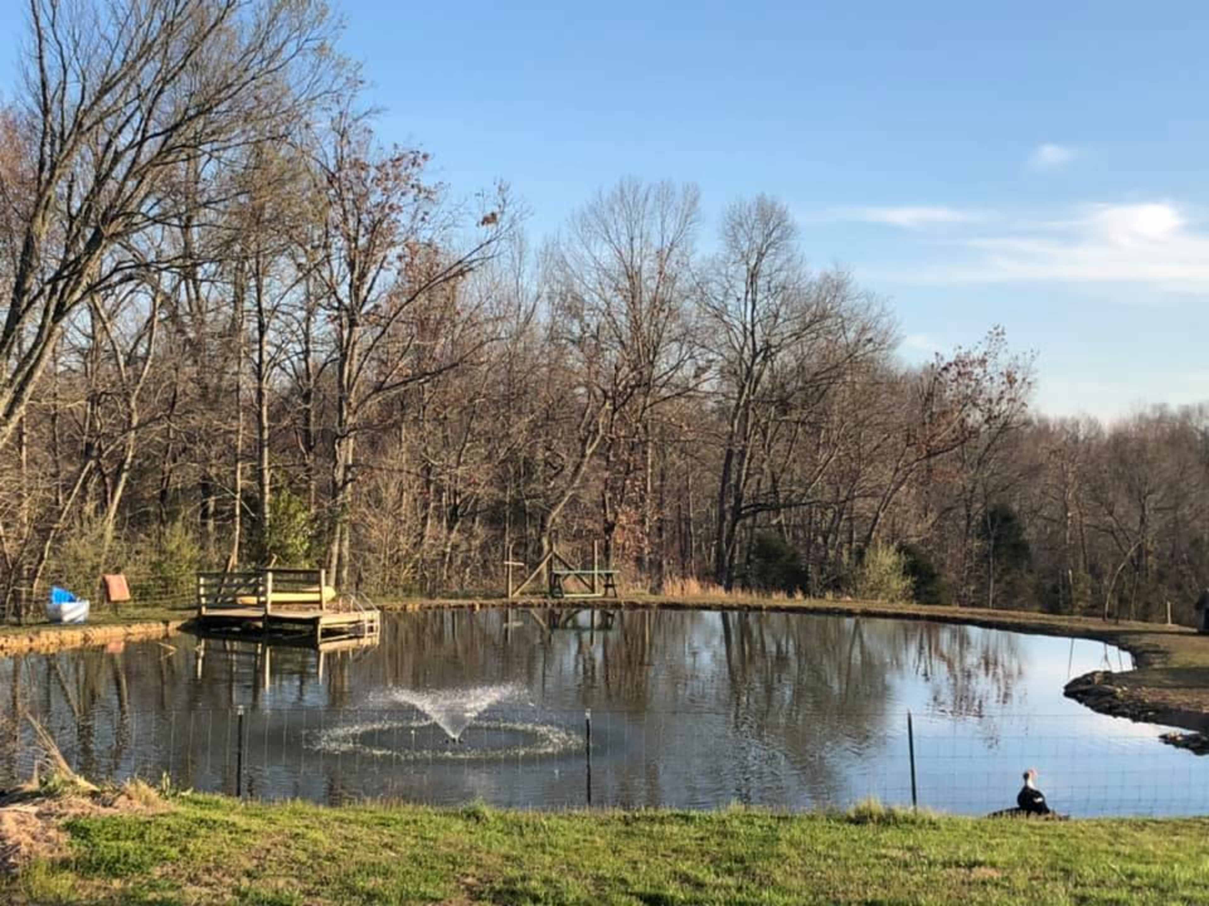 A pond surrounded by trees features a fountain and a small wooden dock on one side.