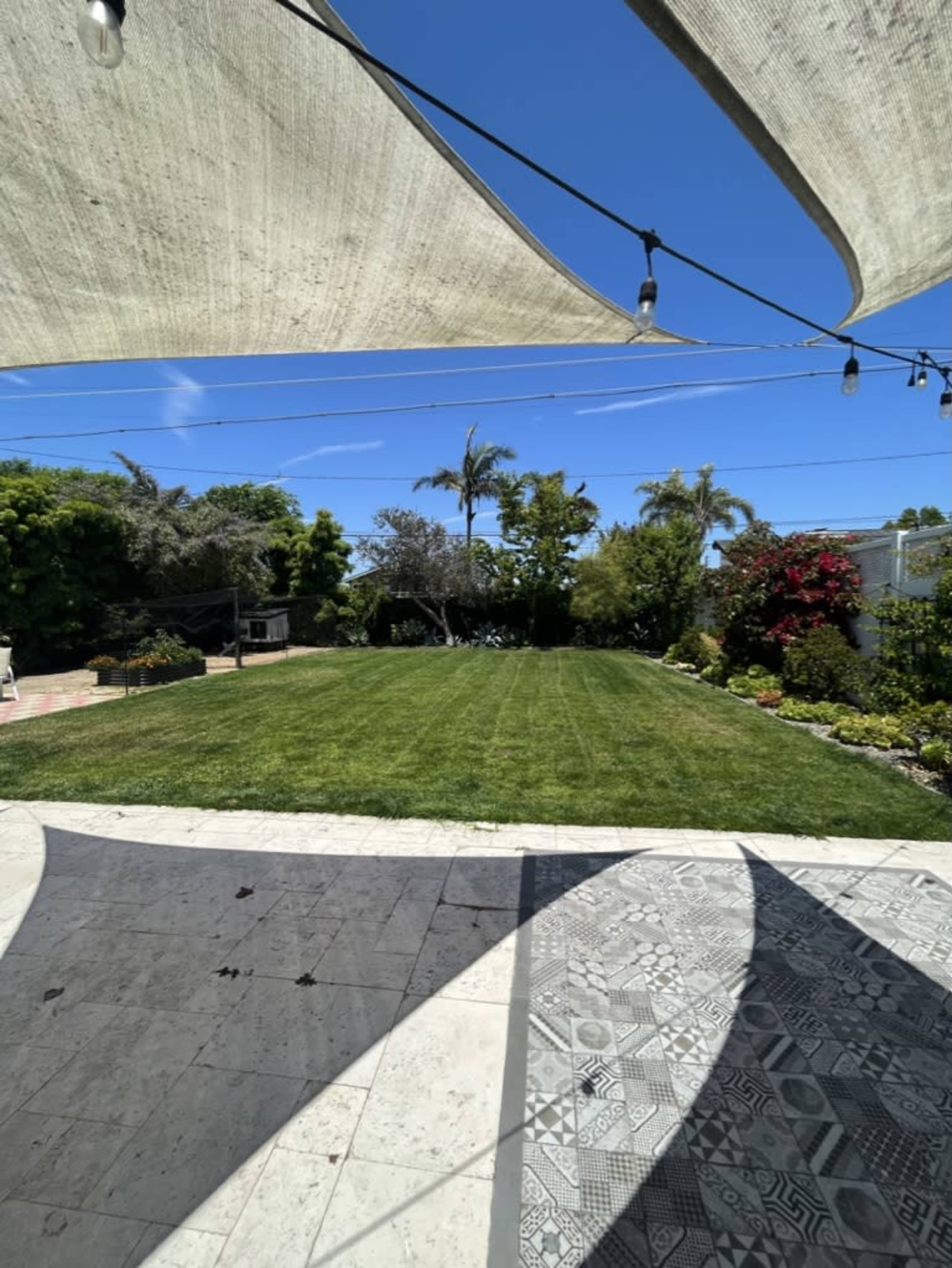 A spacious backyard features a neatly maintained lawn surrounded by various plants and trees, with overhead shade sails and decorative lighting.