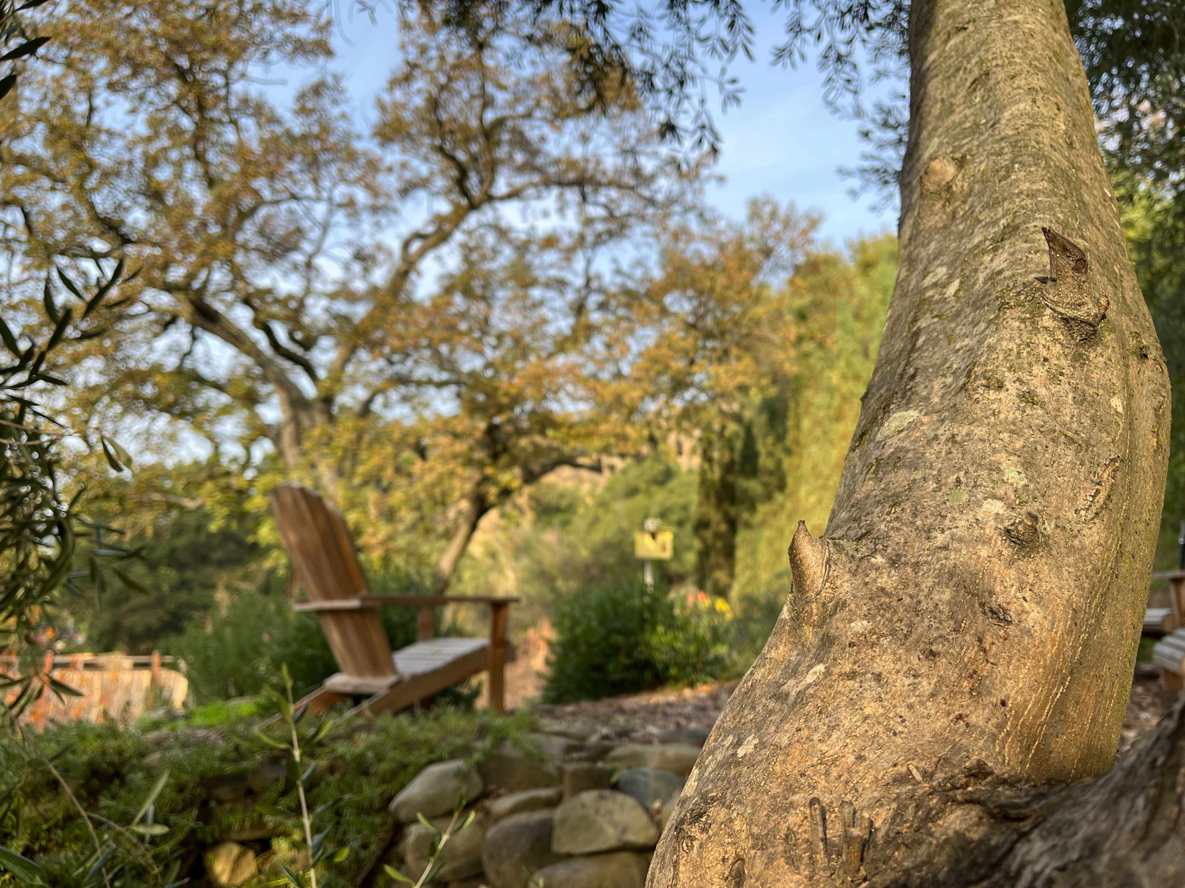 Private 2-Acre Farm w/ Spacious Victorian Farm House & Cottages Image in Sunol, Sunol, CA
