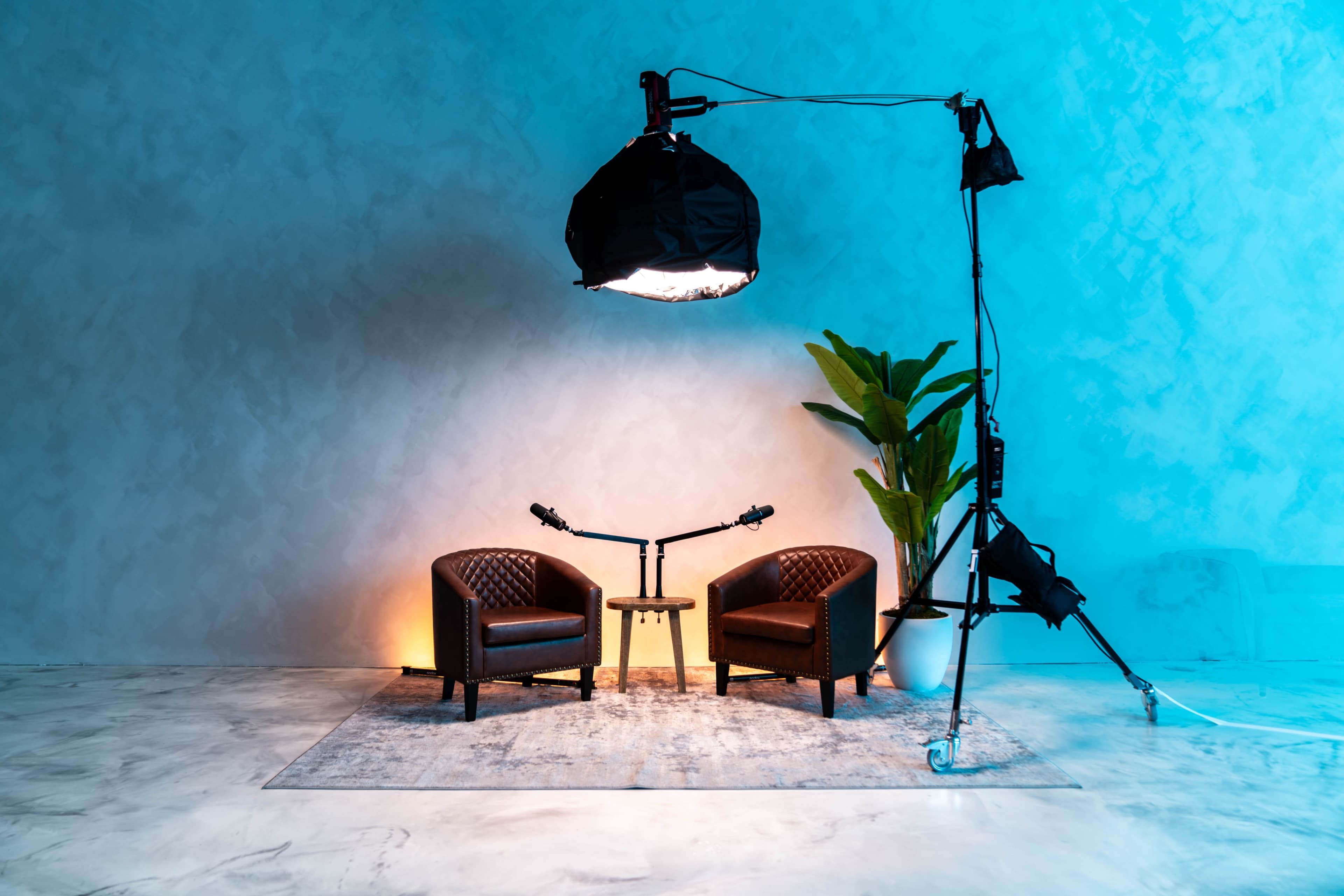 The image shows a minimalist interview setup with two brown leather chairs, a small table, a floor plant, and a large light fixture on a support stand, all against a softly lit gray backdrop.