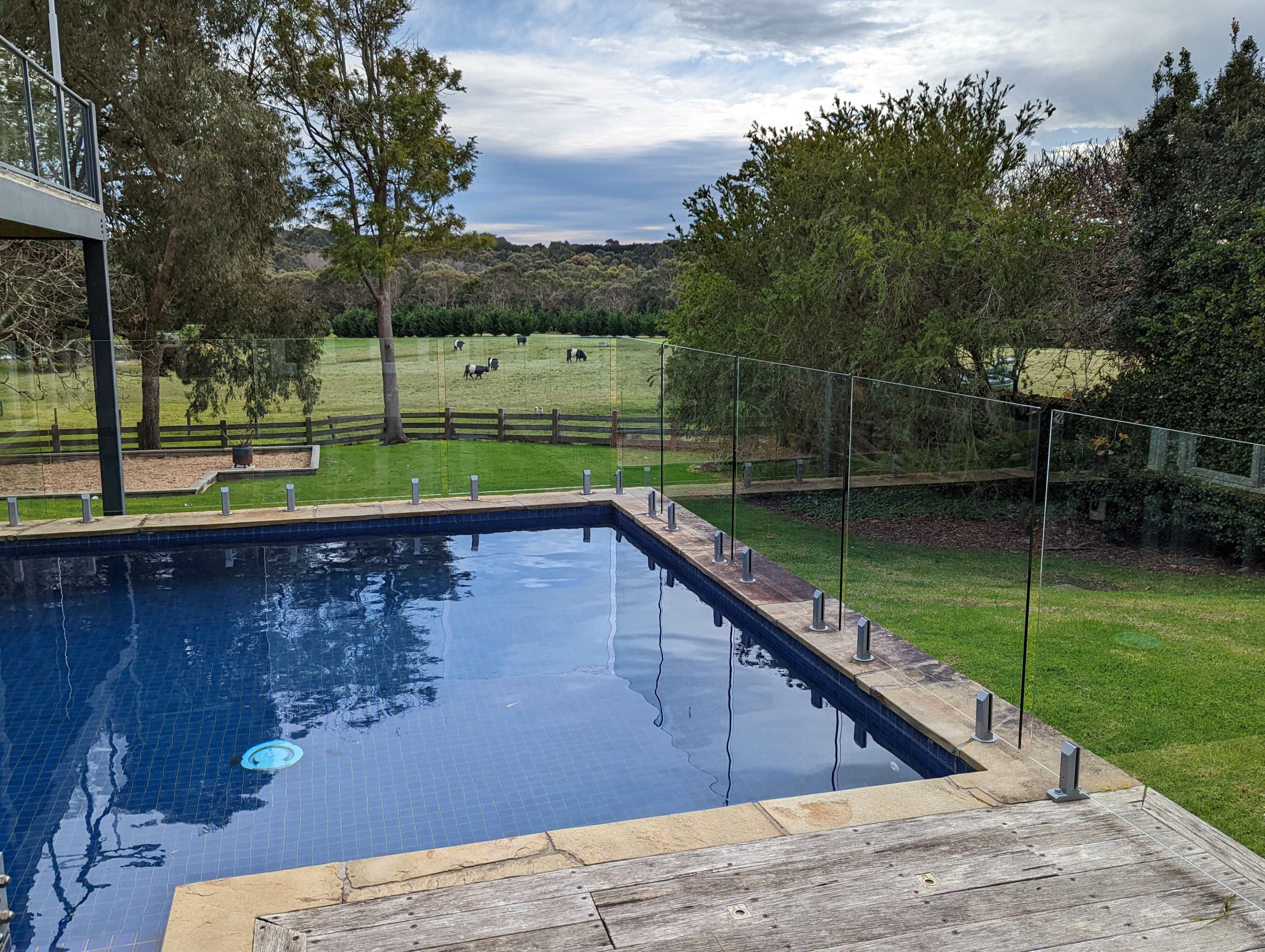 The image shows a rectangular swimming pool with a glass fence surrounded by green grass and a field with horses in the background.